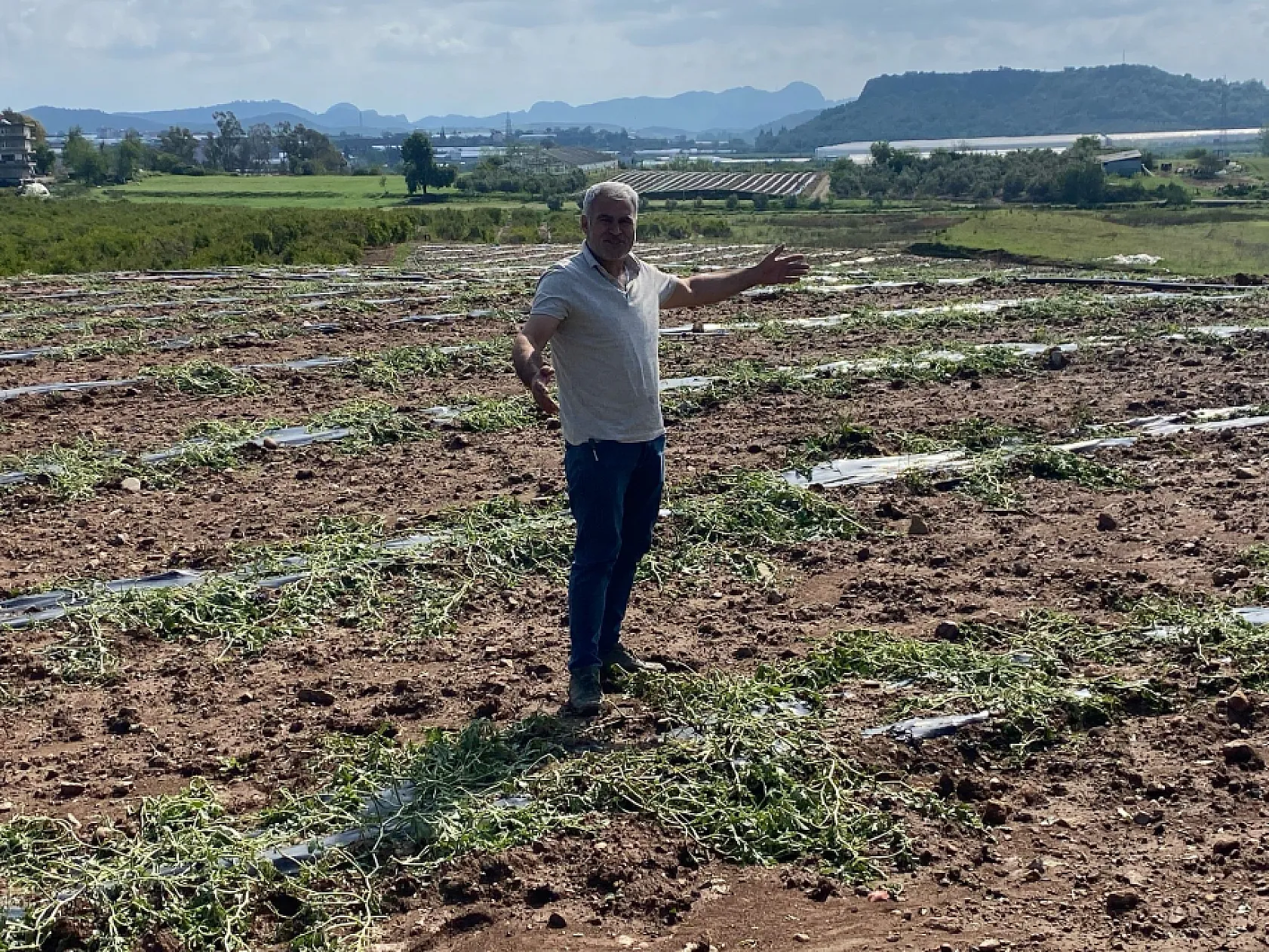 Yıldırım düşmesi sonucu yanan ağacı da yine dolu yağışı söndürdü