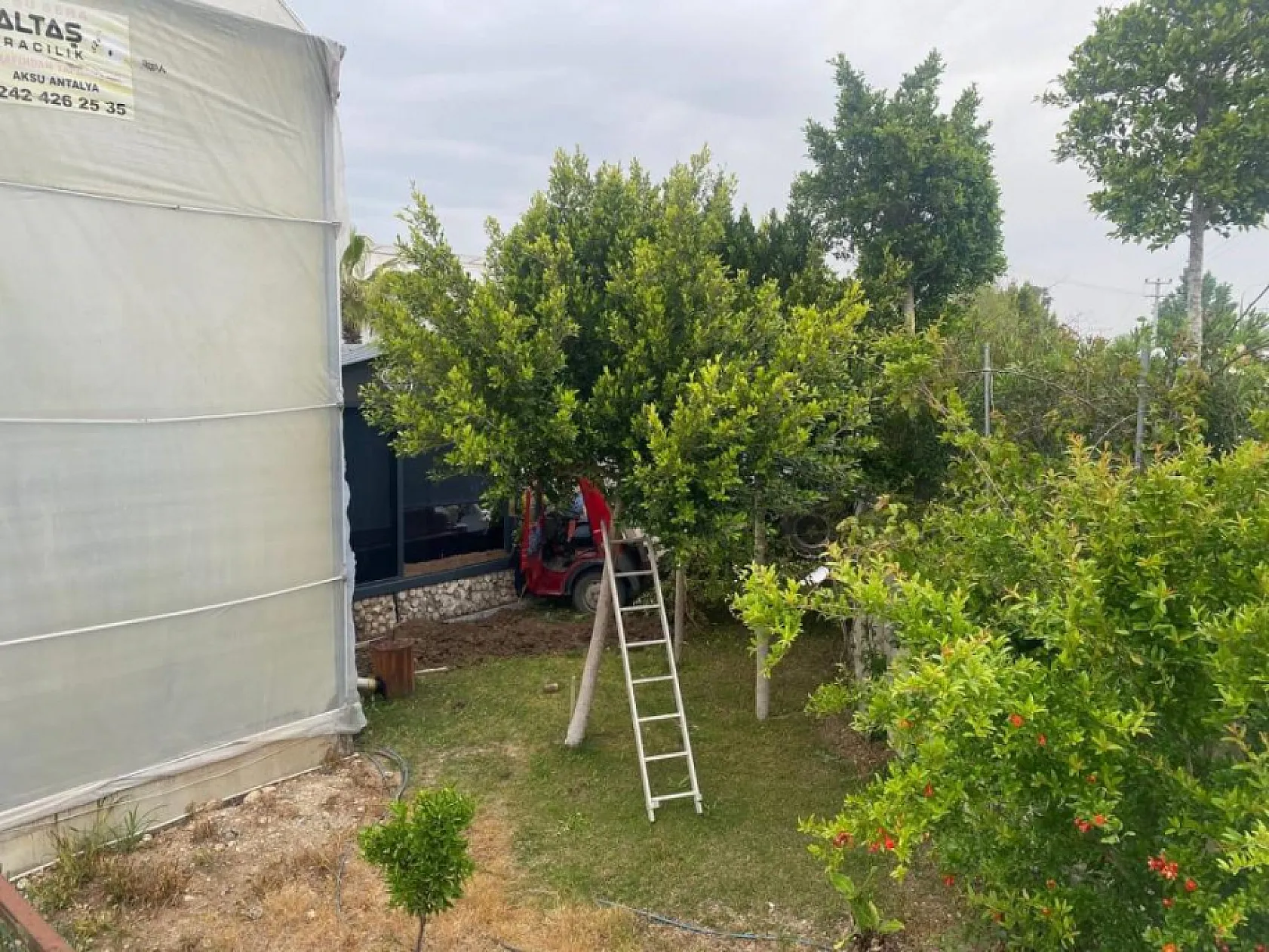 Kamyonet seraya daldı: 1 yaralı
