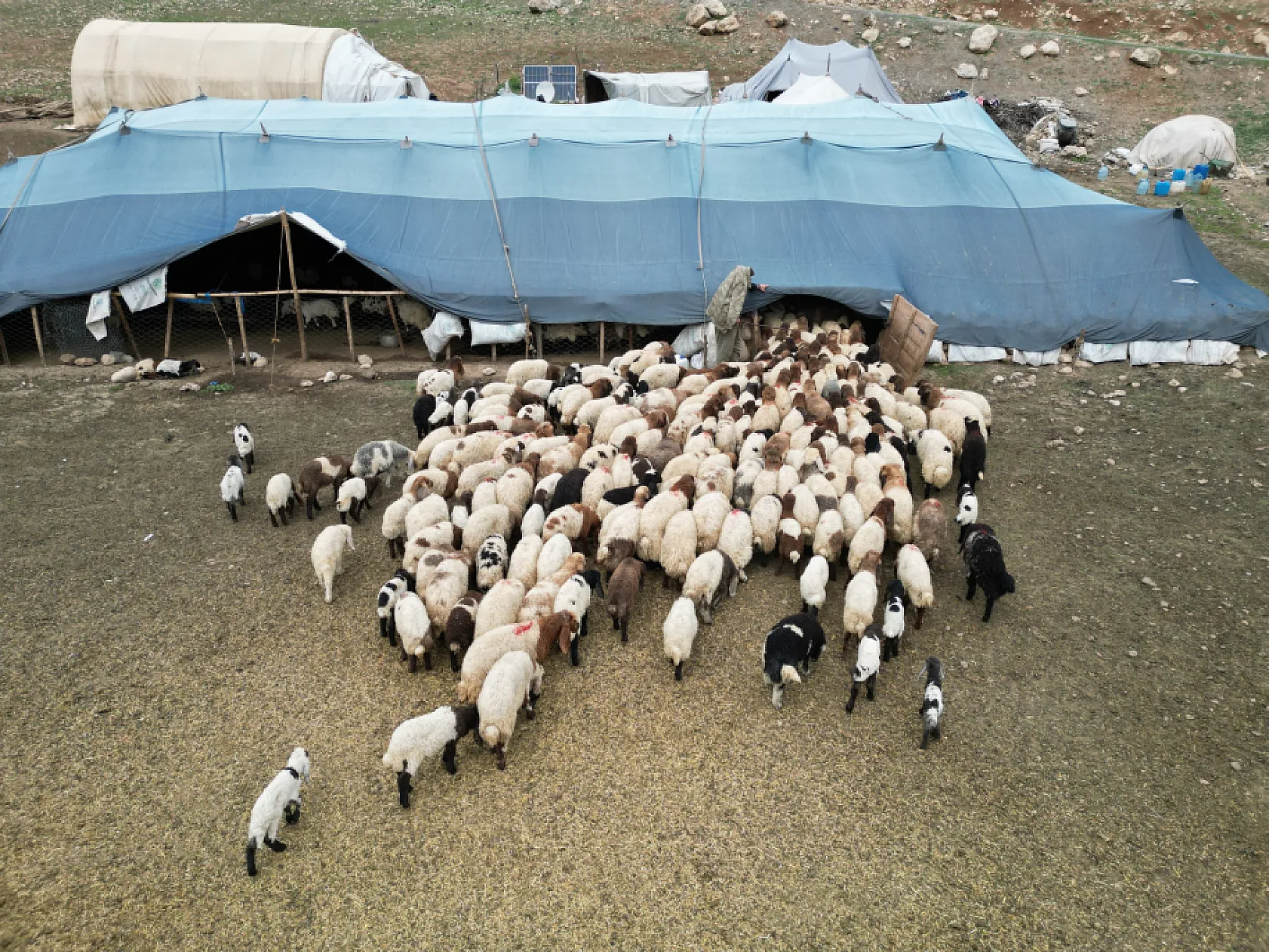 Bir çocuğun sessiz çığlığı: 'Hiç oyuncağım olmadı'