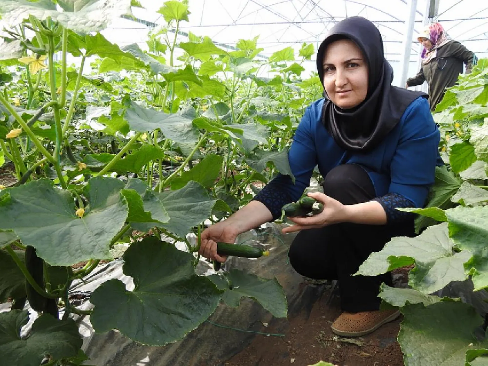 Seracılıkta kadınların başarısı dikkat çekiyor