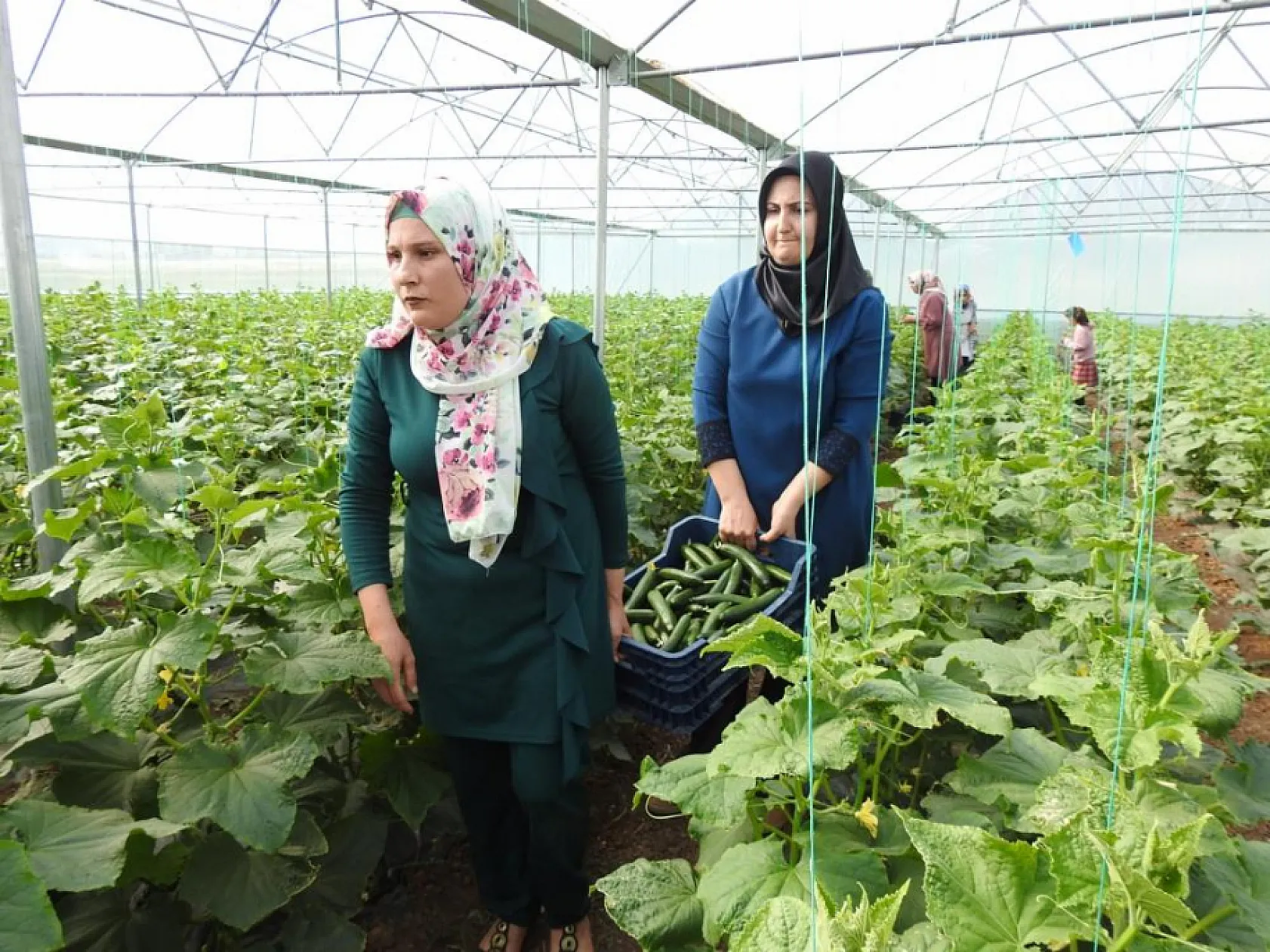 Seracılıkta kadınların başarısı dikkat çekiyor