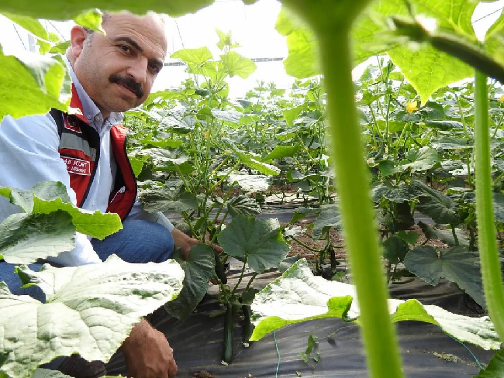 Seracılıkta kadınların başarısı dikkat çekiyor