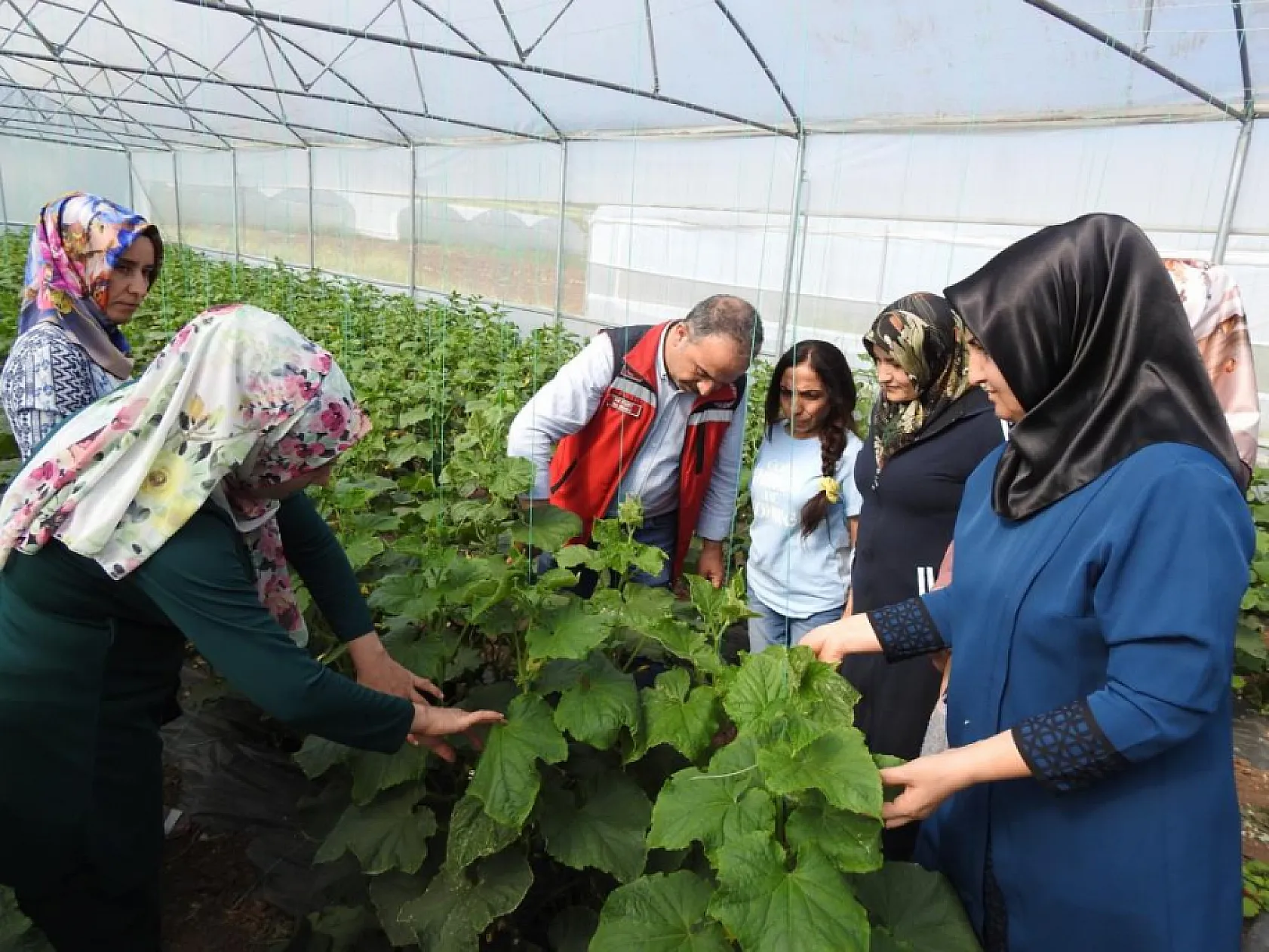 Seracılıkta kadınların başarısı dikkat çekiyor