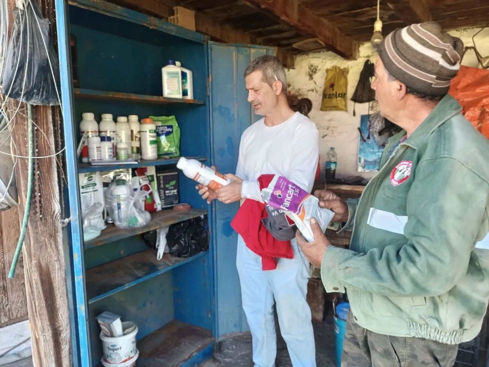 Muğla'da örtü altı sebze üreticilerine teknik destek