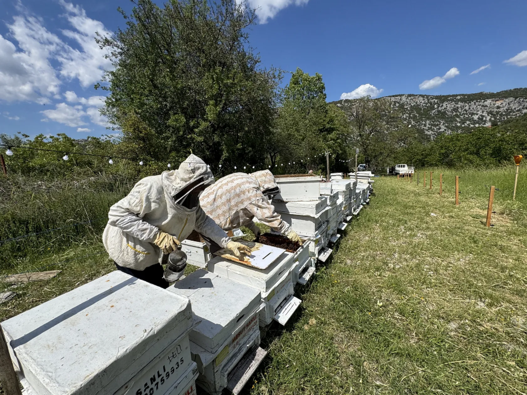 Arıcılar Yeni Sezona Hazırlanıyor