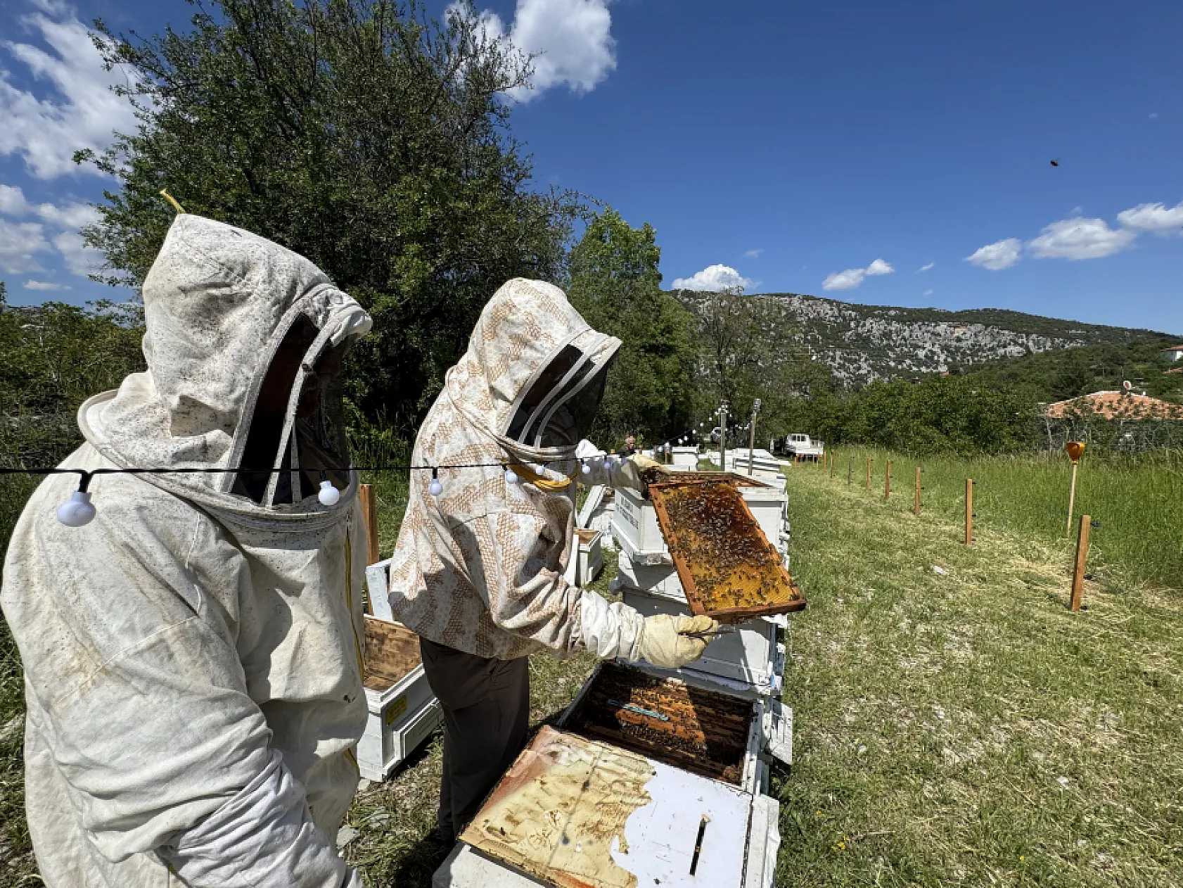 Arıcılar Yeni Sezona Hazırlanıyor
