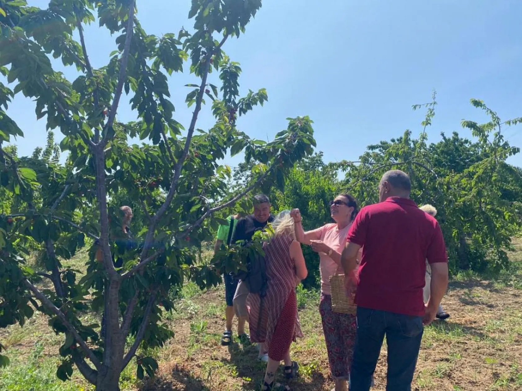 Yeşilçam Yıldızı Savaş'tan nostaljik ziyaret: Geleneksel kıyafetiyle kiraz topladı