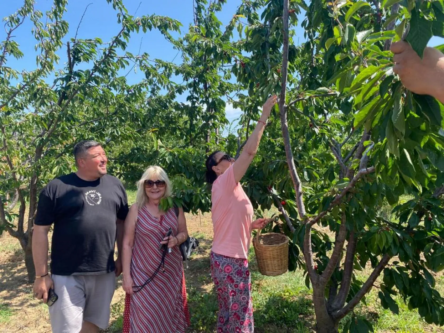 Yeşilçam Yıldızı Savaş'tan nostaljik ziyaret: Geleneksel kıyafetiyle kiraz topladı