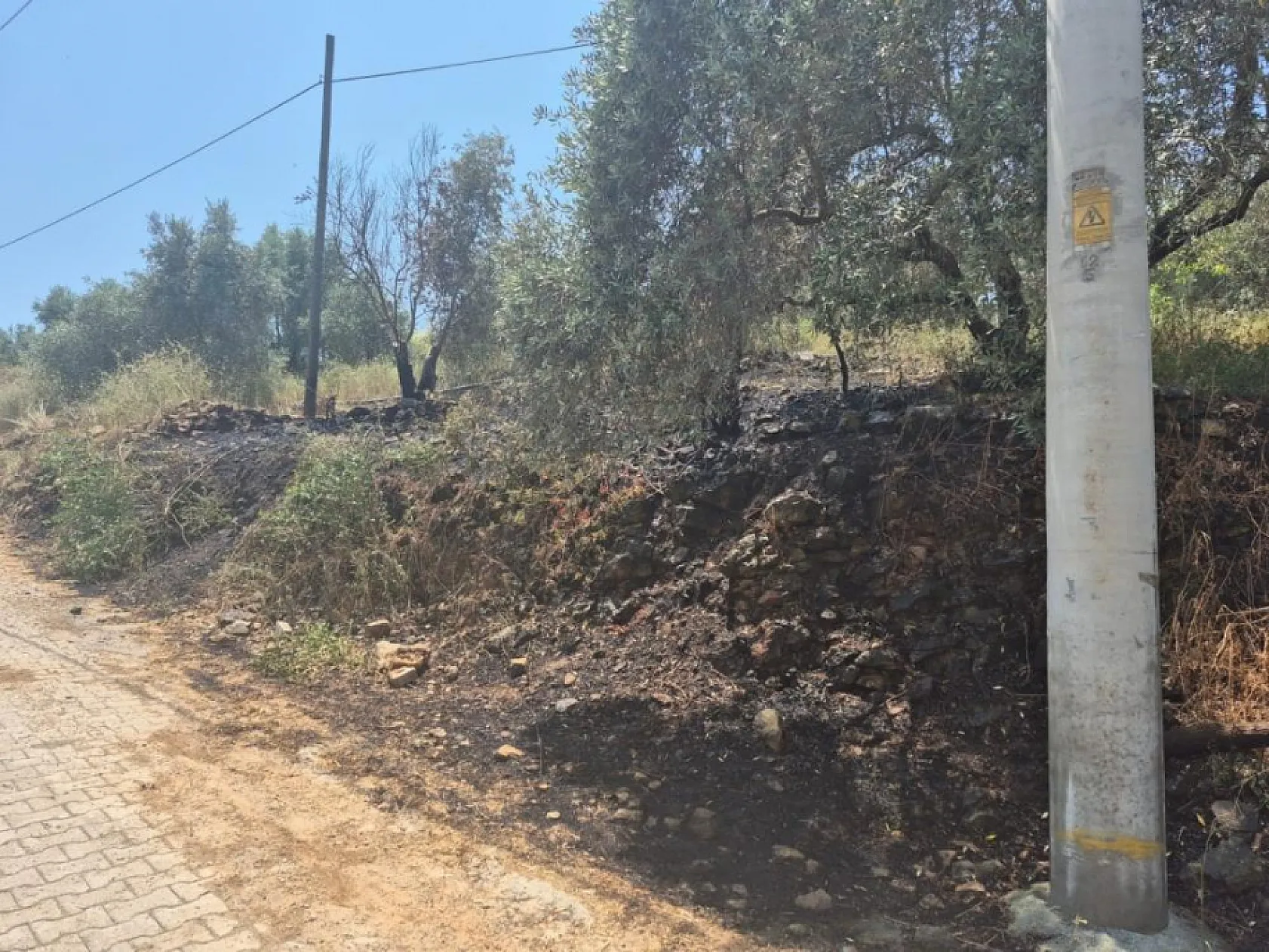 Muğla'da otluk alanda çıkan yangın büyümeden söndürüldü