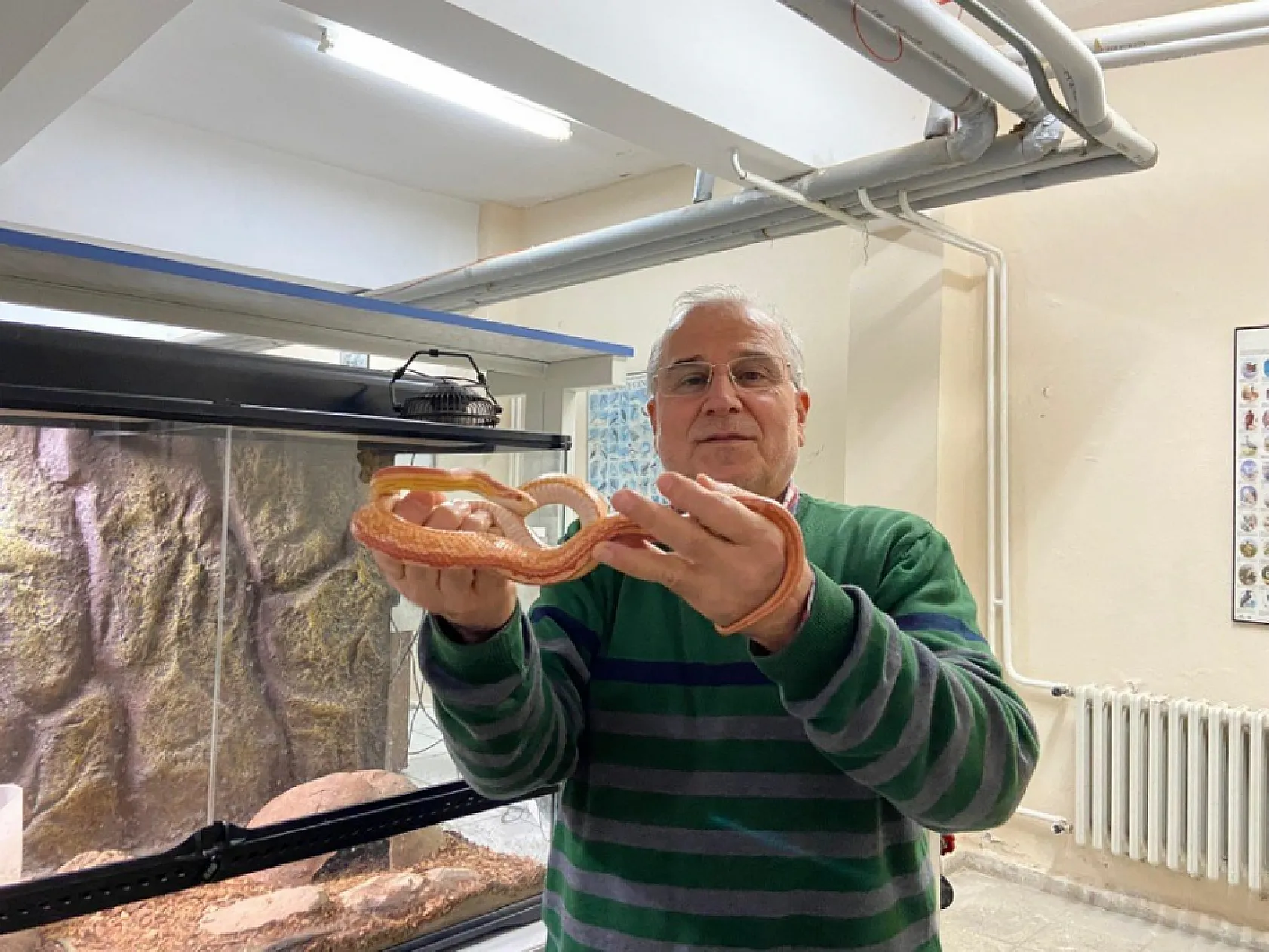 185 tür sizi bekliyor! Türkiye'deki bu müzede yılanlara dokunabilirsiniz!