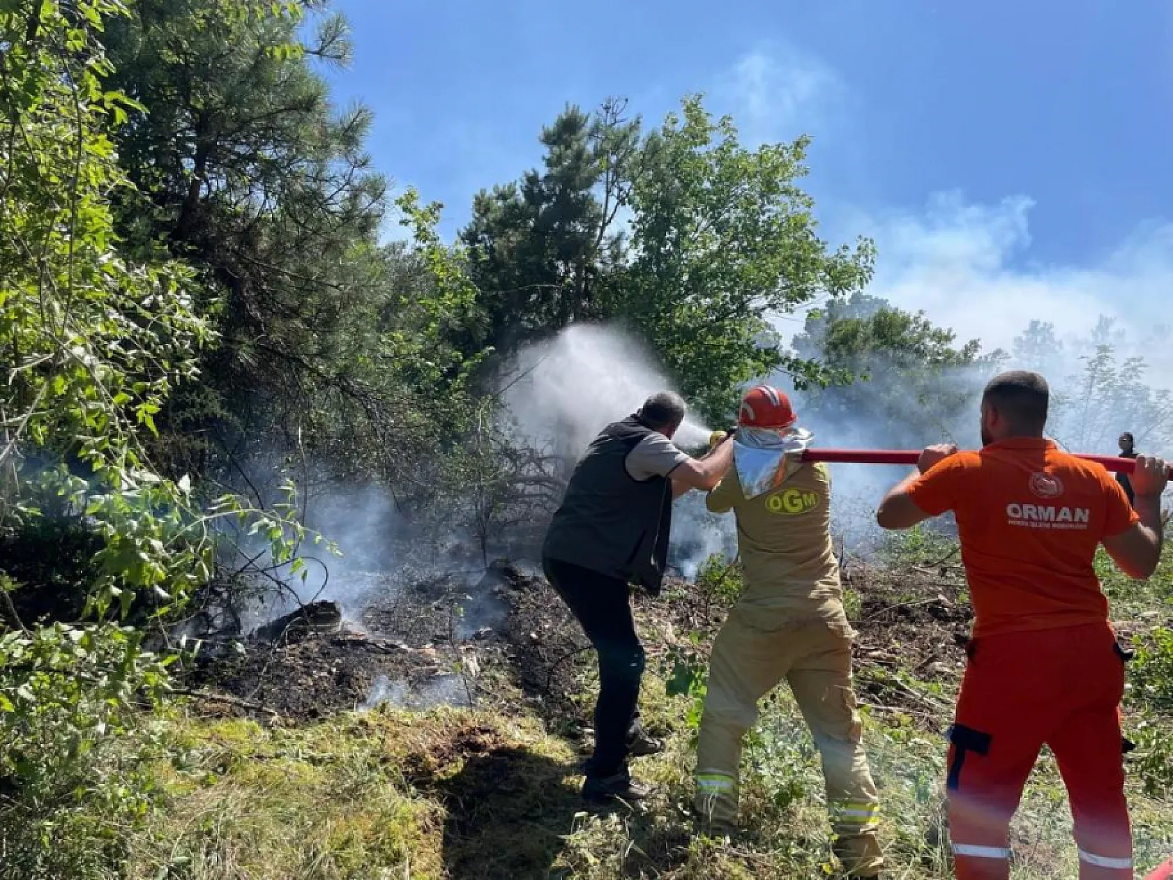 Köyceğiz'de orman yangını ekiplerin hızlı müdahalesiyle kontrol altına alındı