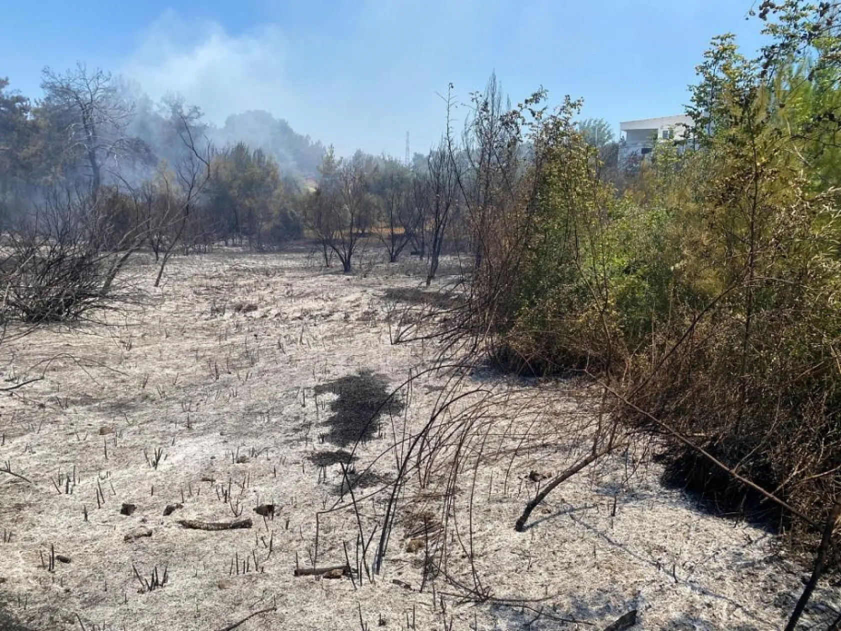 Antalya'da ormanlık ve kırsal alanda çıkan yangın kontrol altına alındı