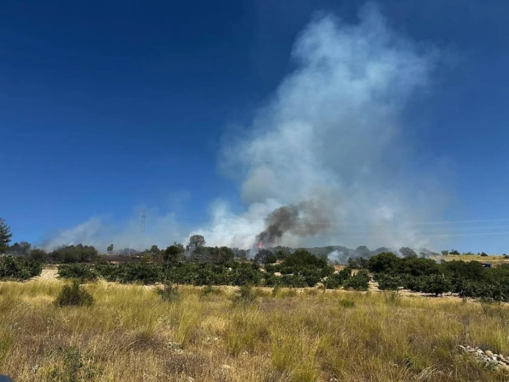 Köylüler alevlere set oldu