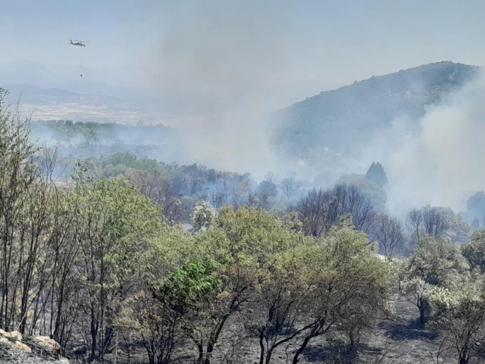 Muğla'daki yangın Stratonikia Antik kentindeki zirai alanda etkili oluyor