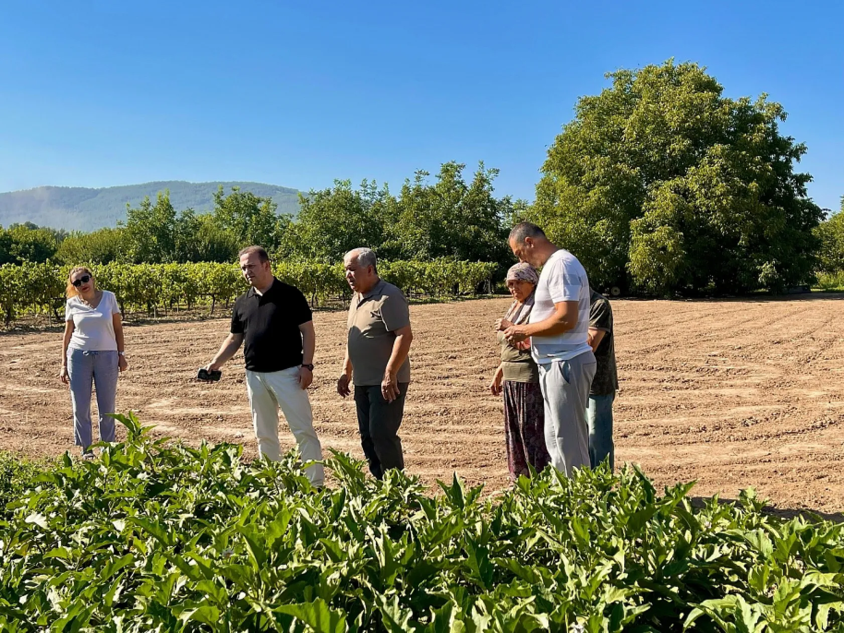 Karabağlar Yaylası'nda tarımsal projeler yerinde incelendi