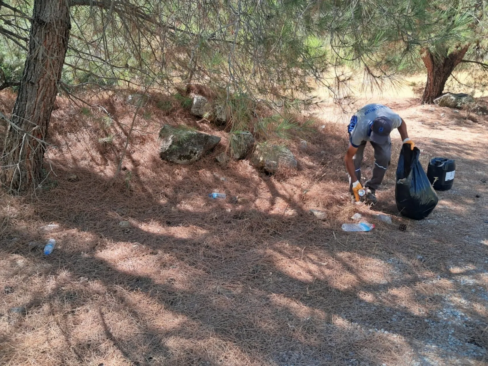 Bodrum'da yangına karşı mücadele sürüyor