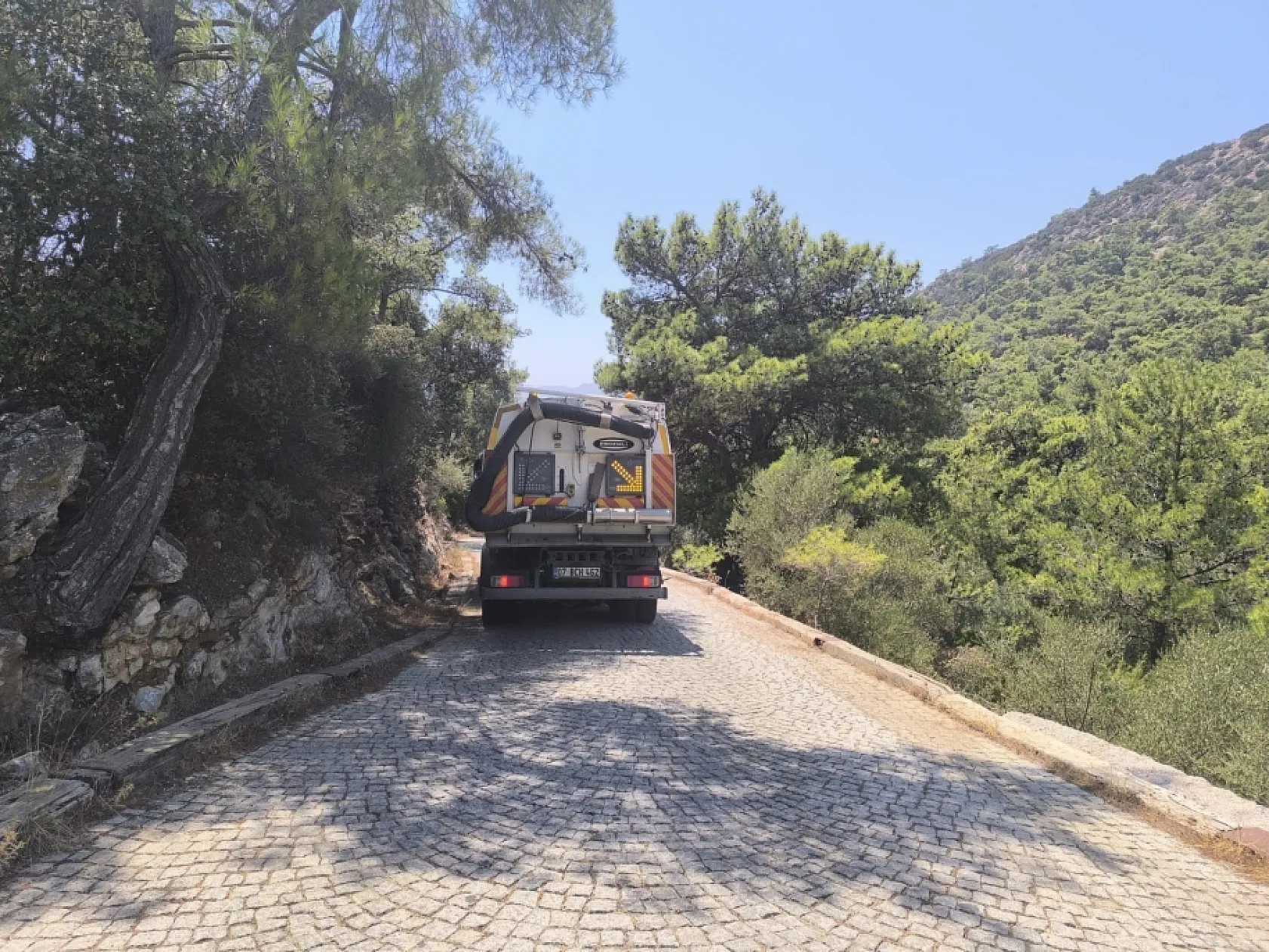 Bodrum'da yangına karşı mücadele sürüyor