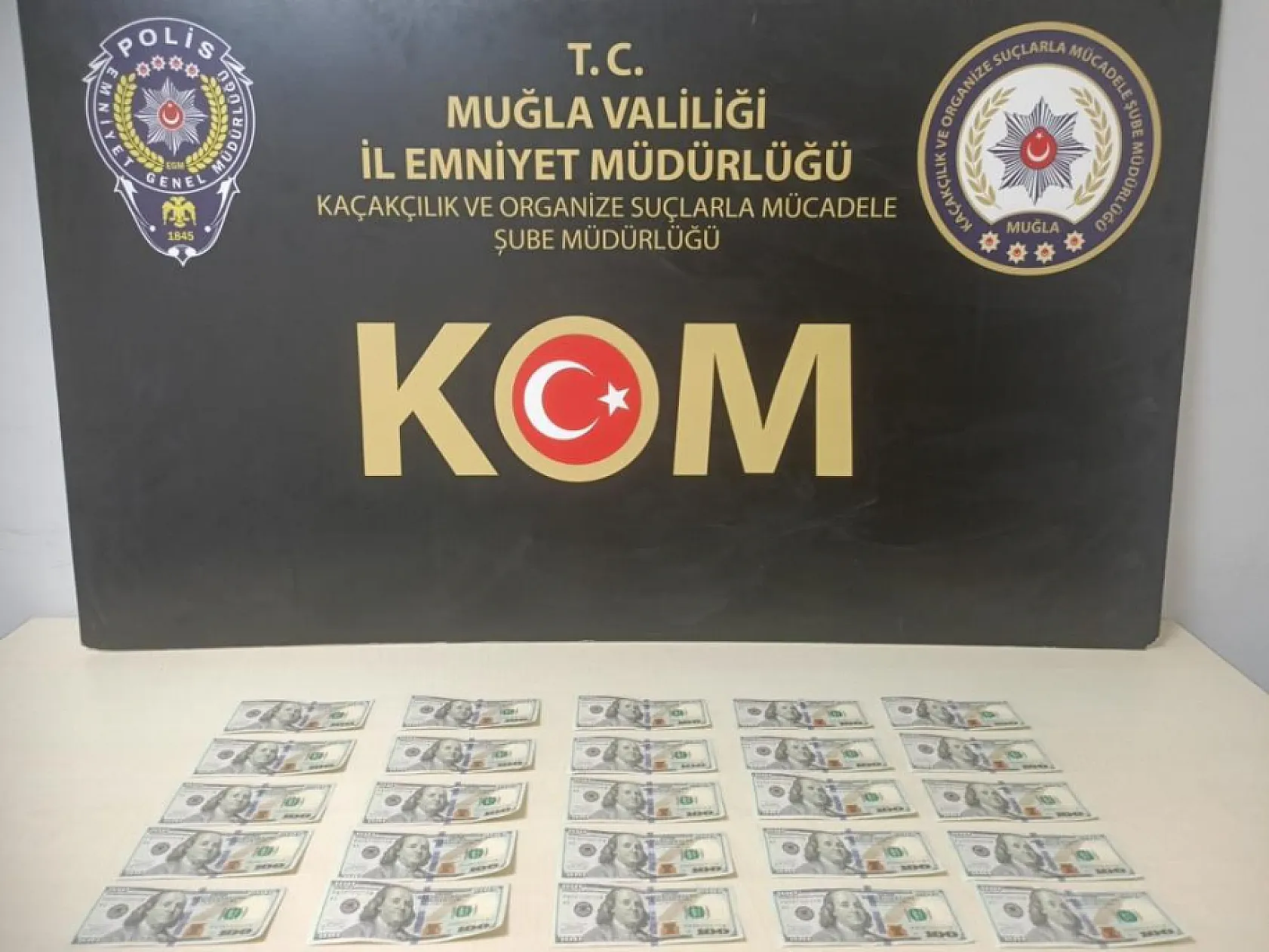 Muğla'da sahte dolar operasyonu