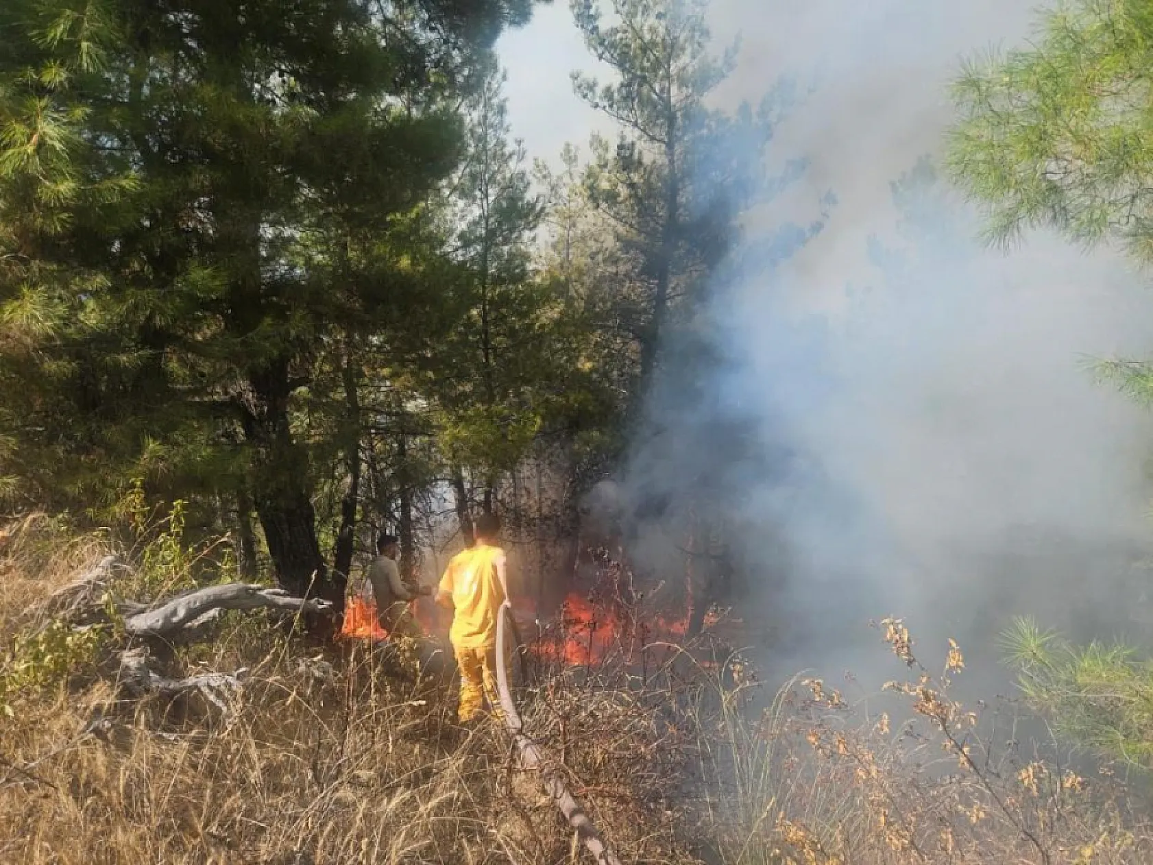 Denizli Buldan'da ormanlık alanda yangın çıktı