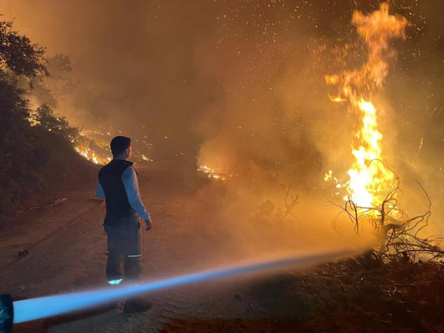Muğla'da alevli gece