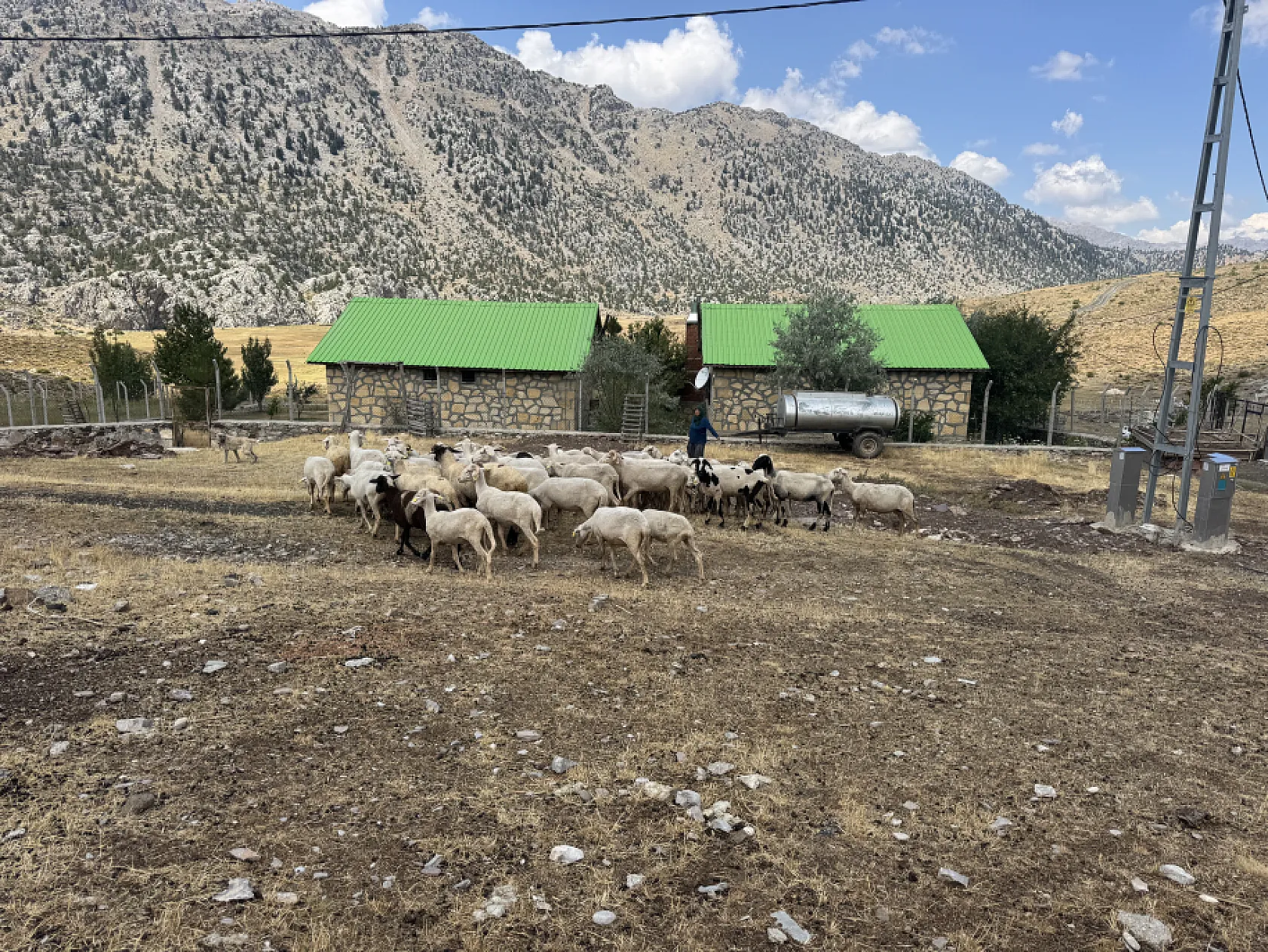 Yörüklerin 4 aydır kaldıkları yaylalardan dönüşleri başladı