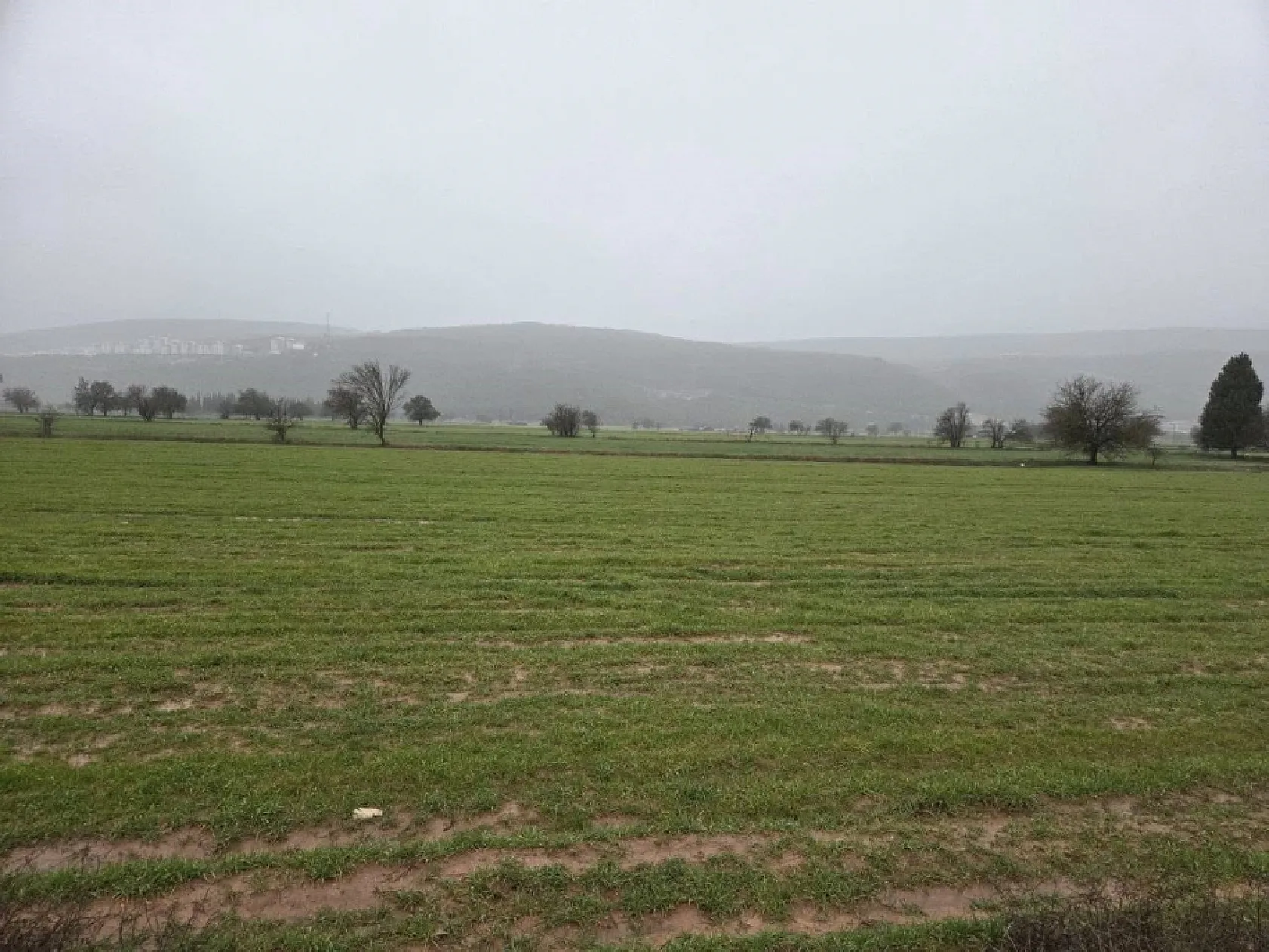 Menteşe'de tarım arazileri için ekipler sahaya indi