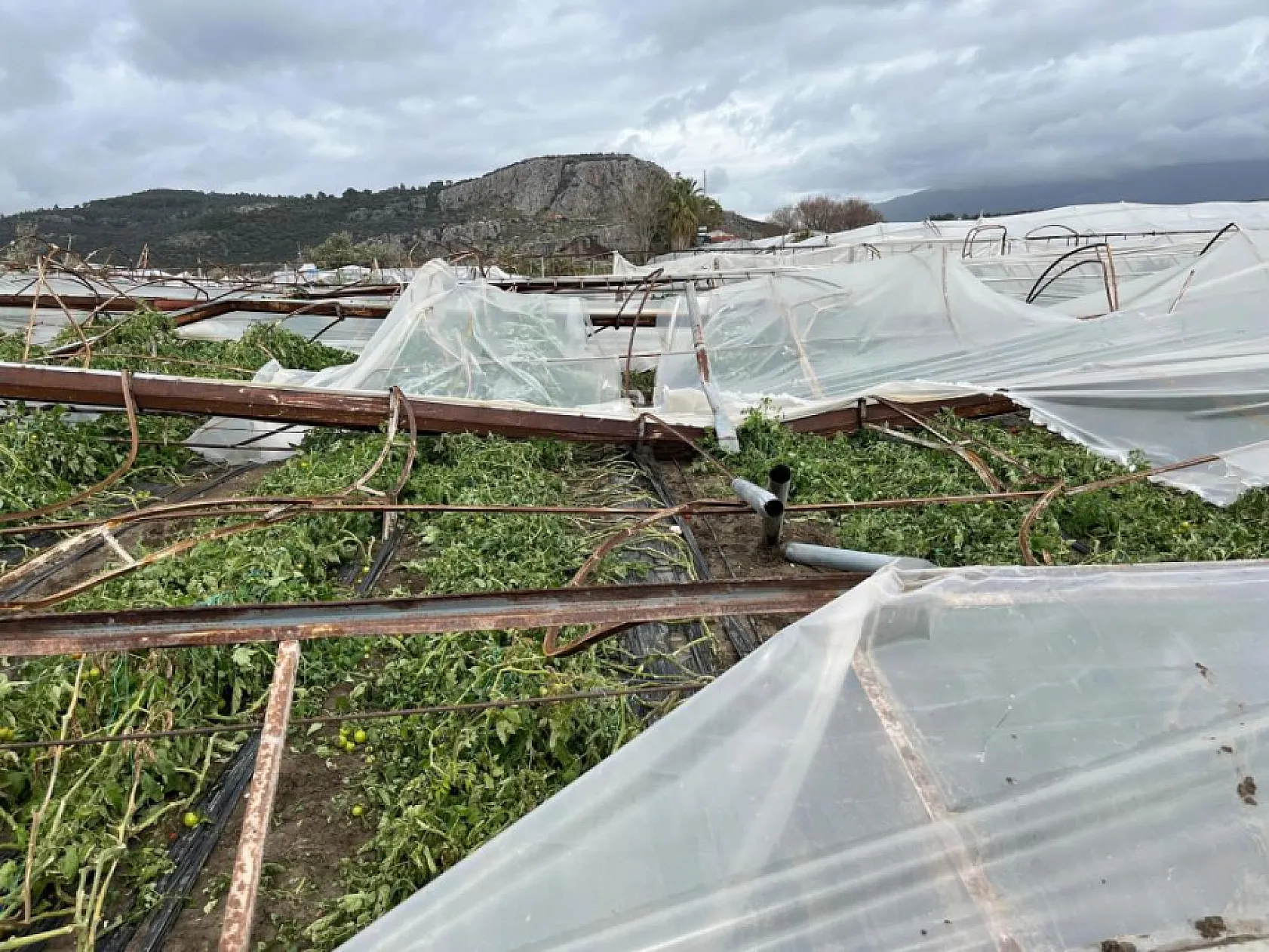 Dolu ve hortumun vurduğu Seydikemer'de oda başkanlarından destek çağrısı