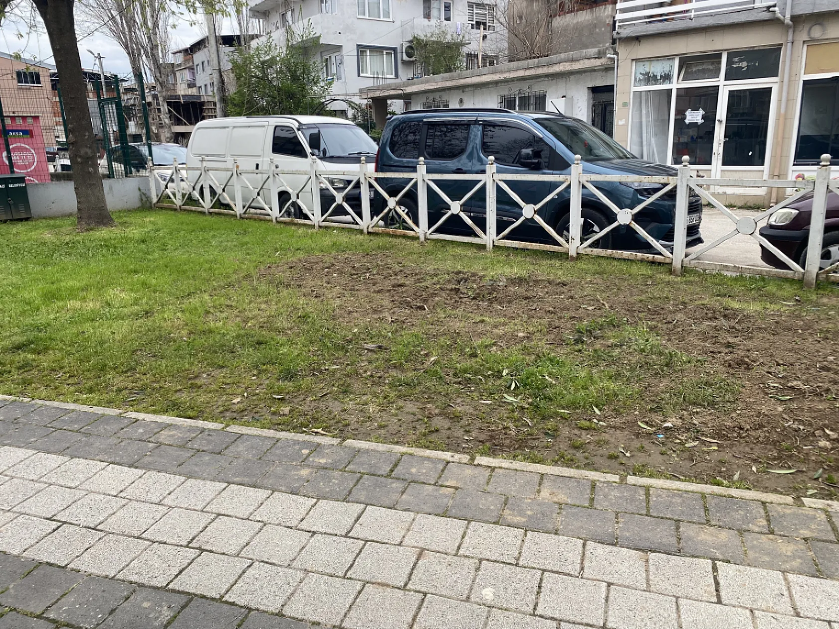 Parkta toplanan bitki az kalsın faciaya yol açıyordu