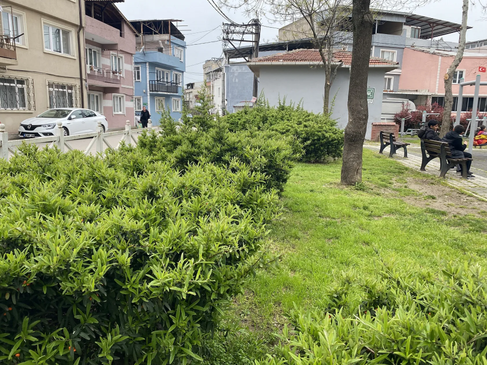 Parkta toplanan bitki az kalsın faciaya yol açıyordu