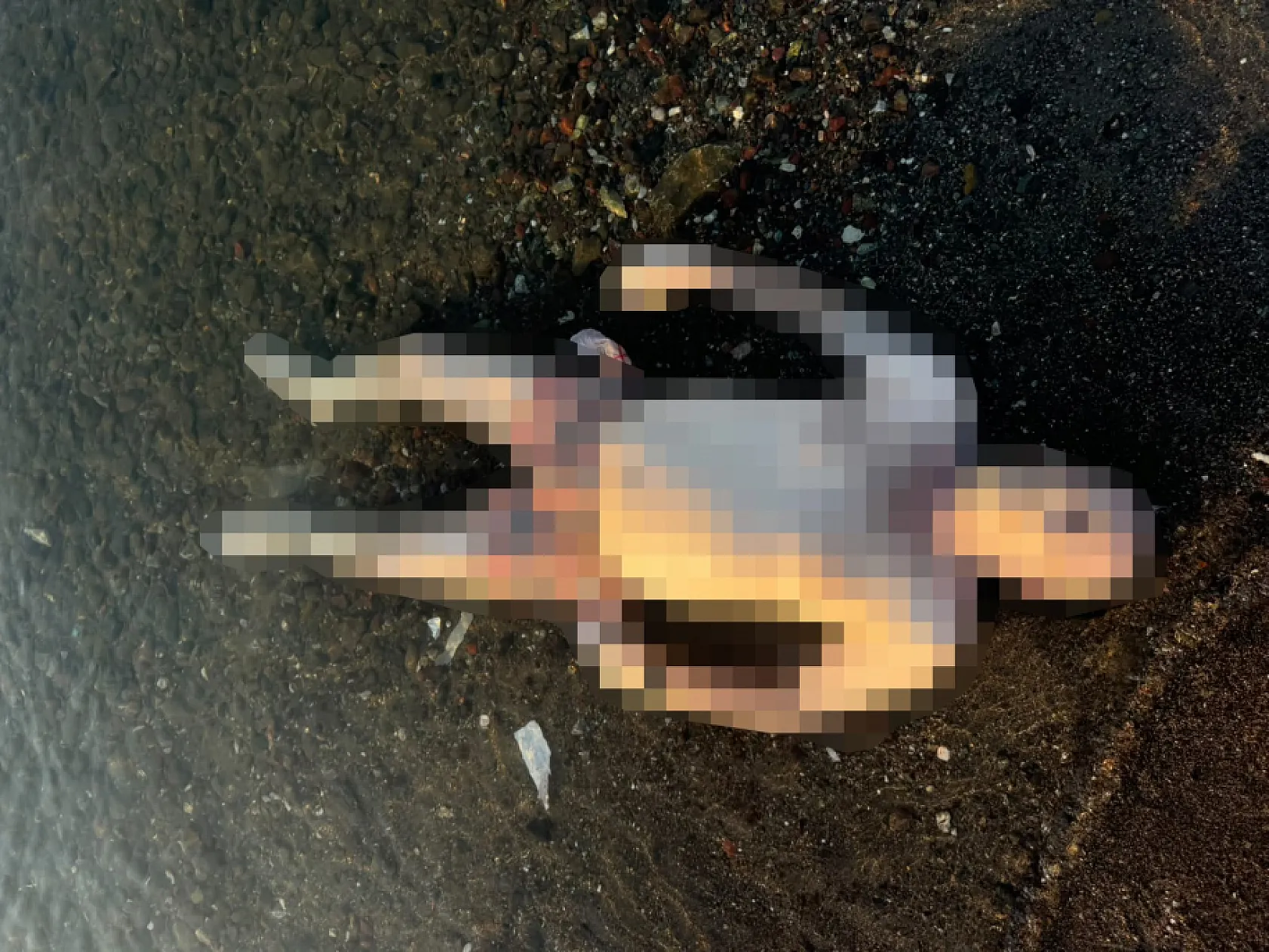 Marmaris'te denizde erkek cesedi bulundu