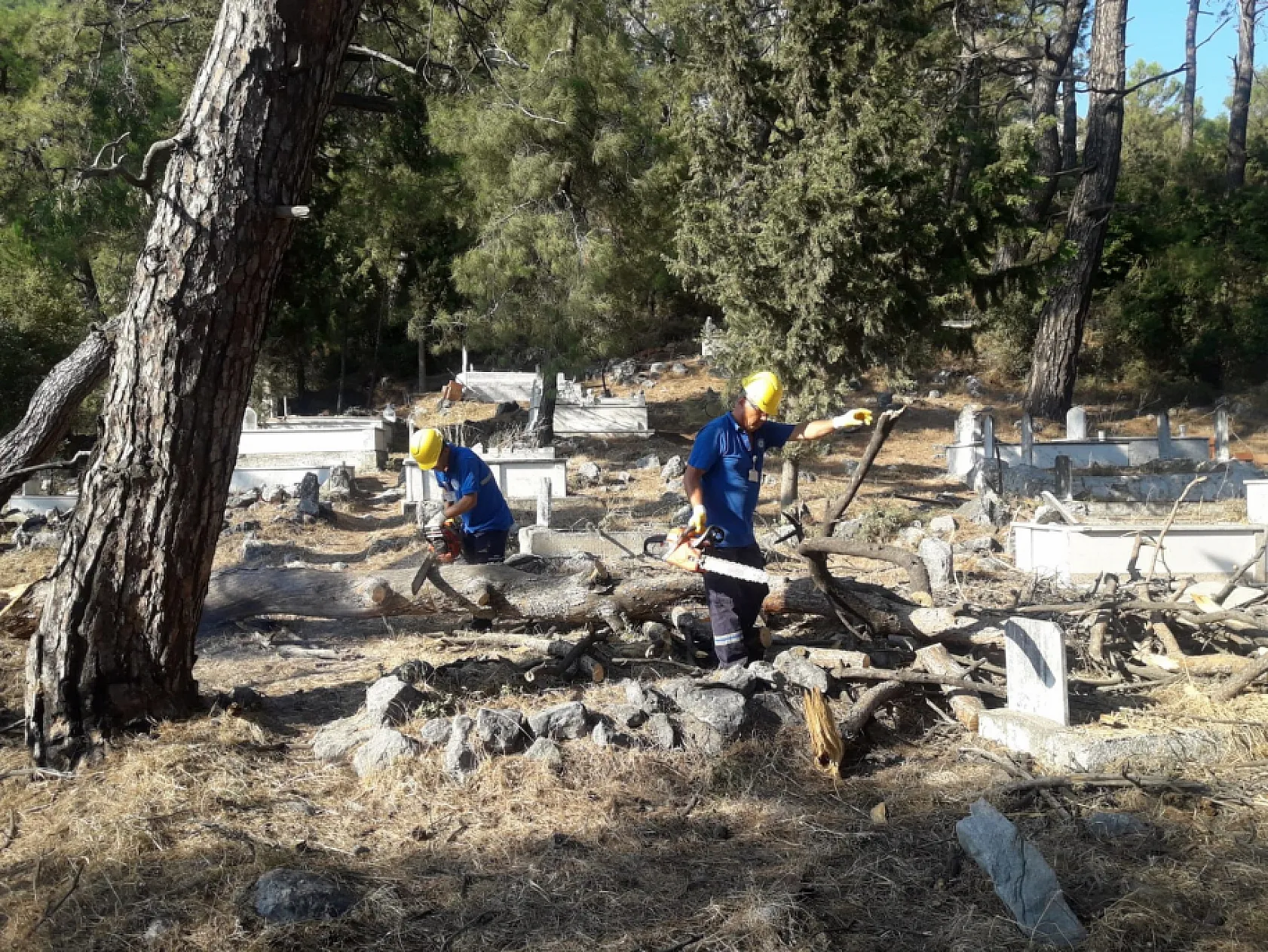 Muğla Büyükşehirden Kış Soğuğunda Yürek Isıtan Destek