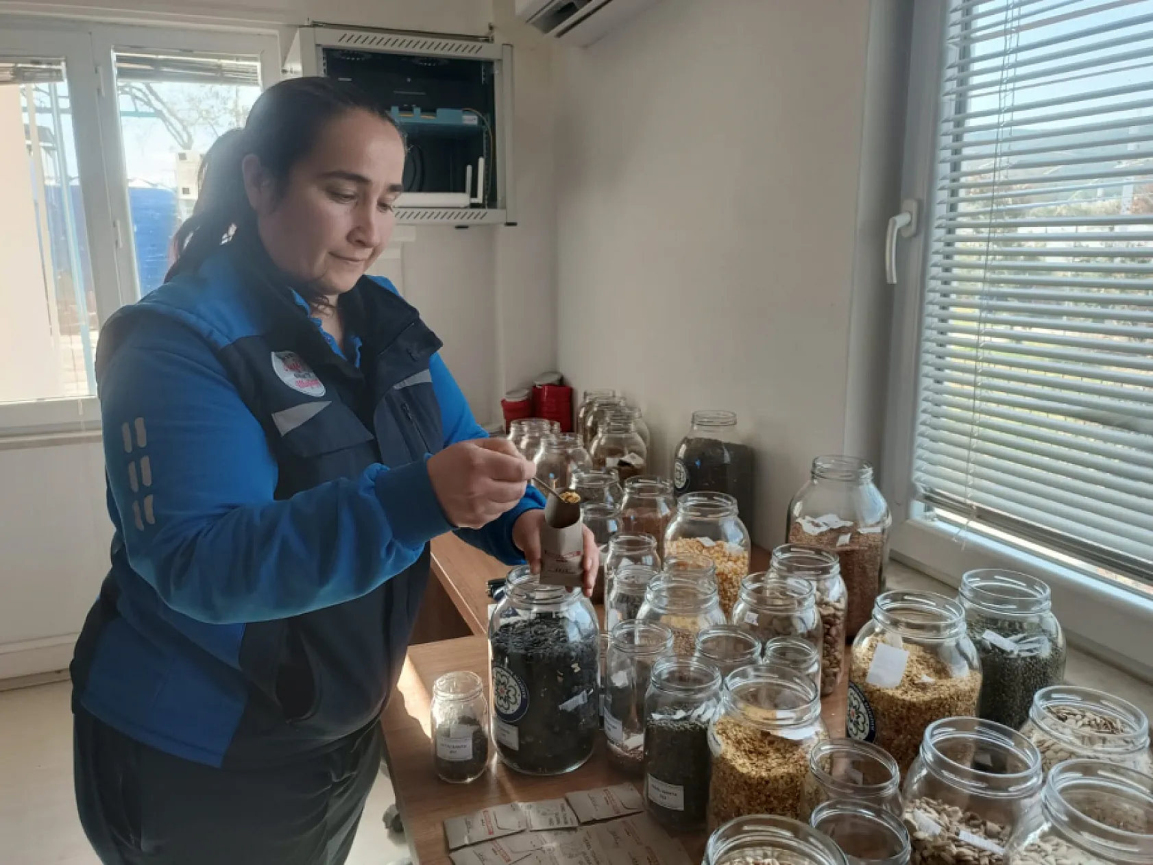 Büyükşehir'in yerel tohum dağıtımı 21 milyona ulaşacak