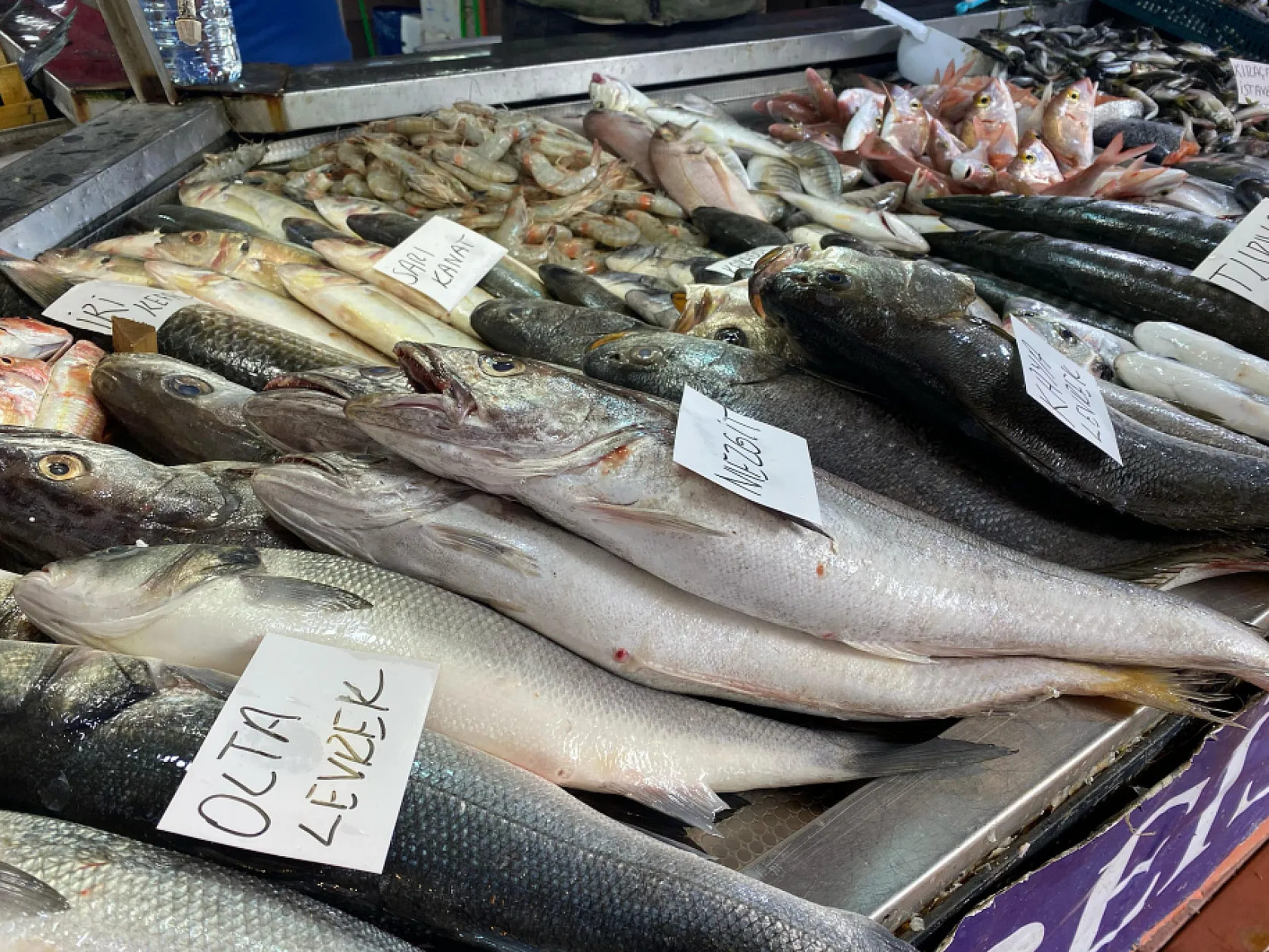 Fethiye Balık Pazarı Esnafı Aykan Kocatepe'den Ramazan'da balık fiyatları açıklaması