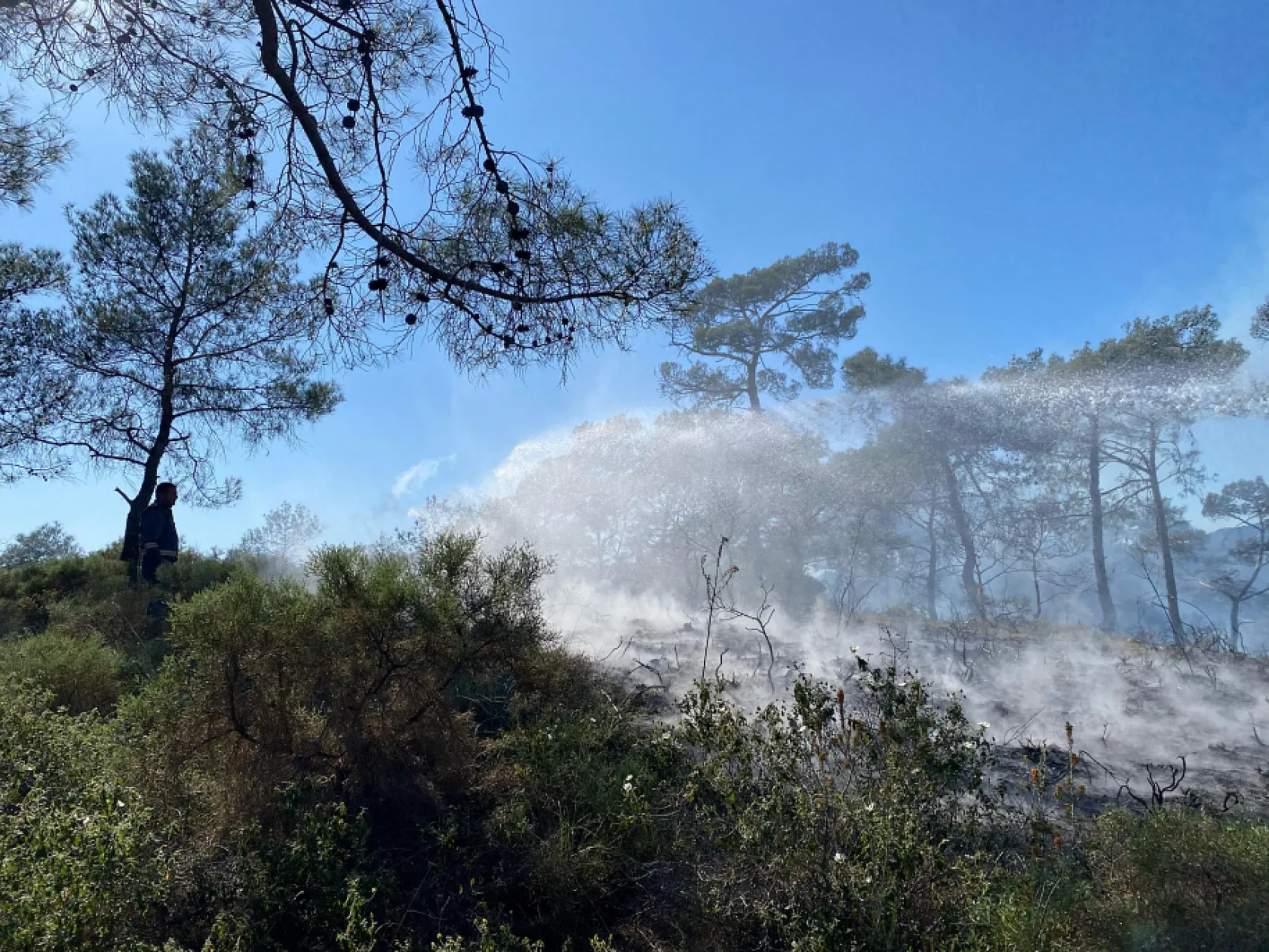 Muğla'da ormanlık alanda çıkan yangın söndürüldü