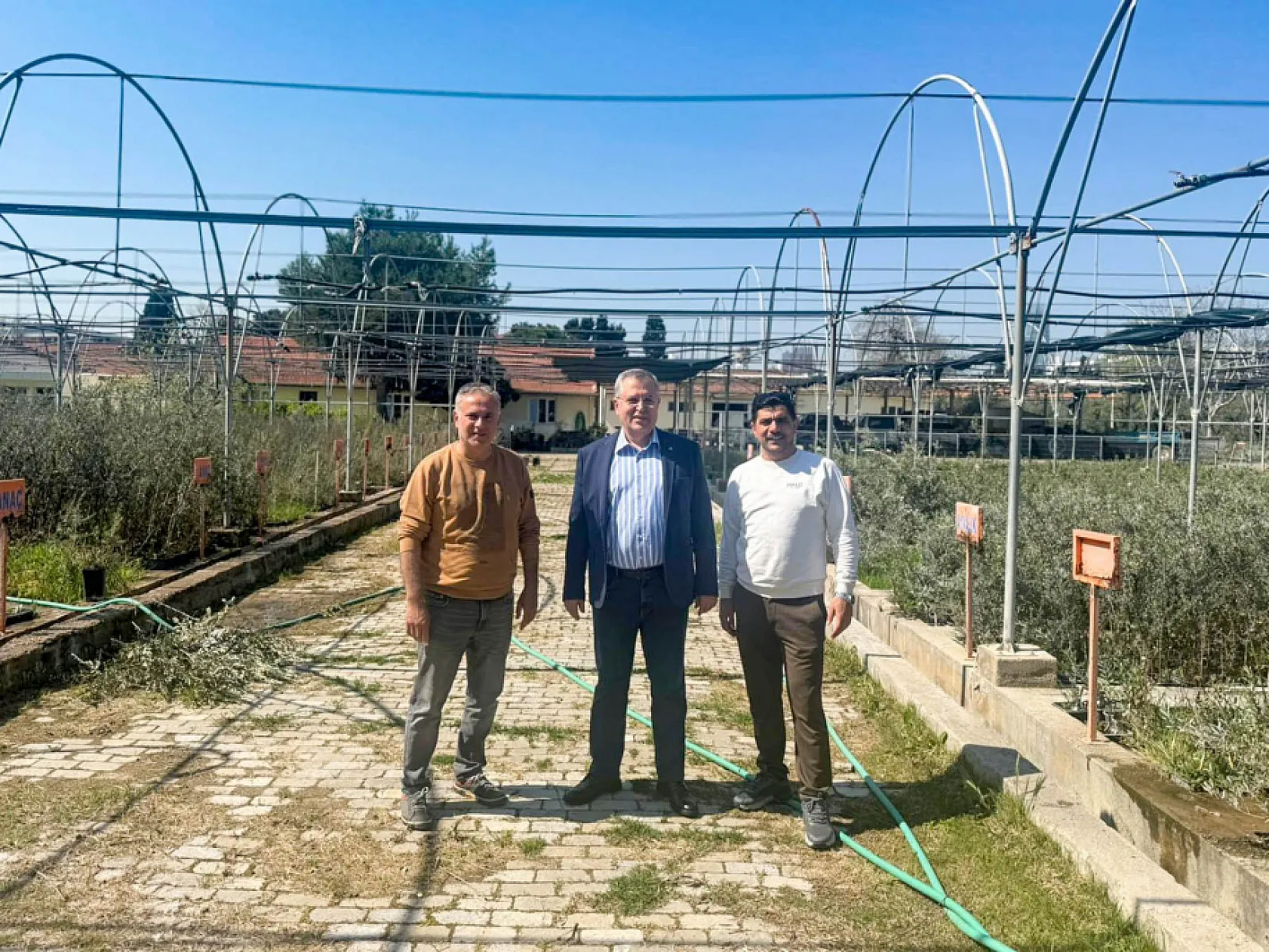 FTSO'dan 'Fethiye Zeytinyağı' için coğrafi işaret adımı