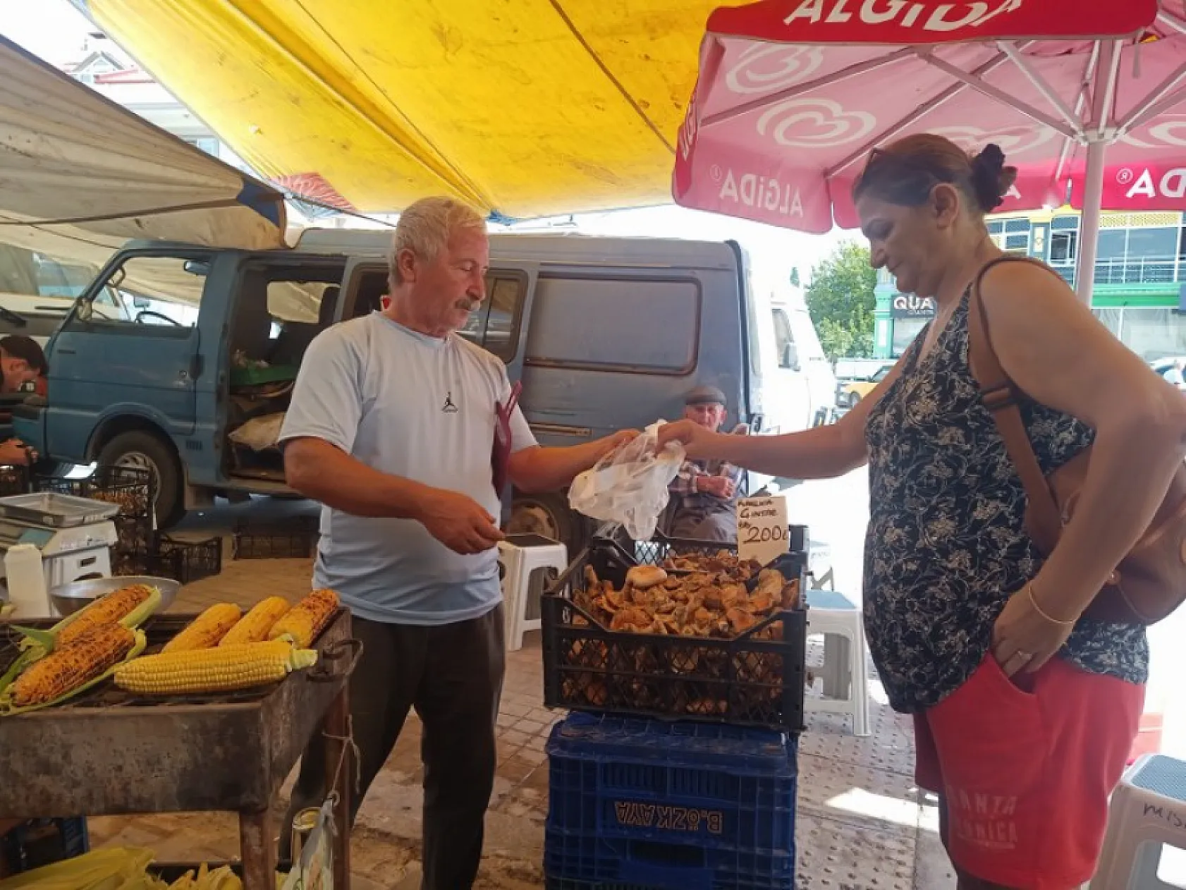 Fethiye sofralarında eksik olmuyor: Çıntar Mantarı