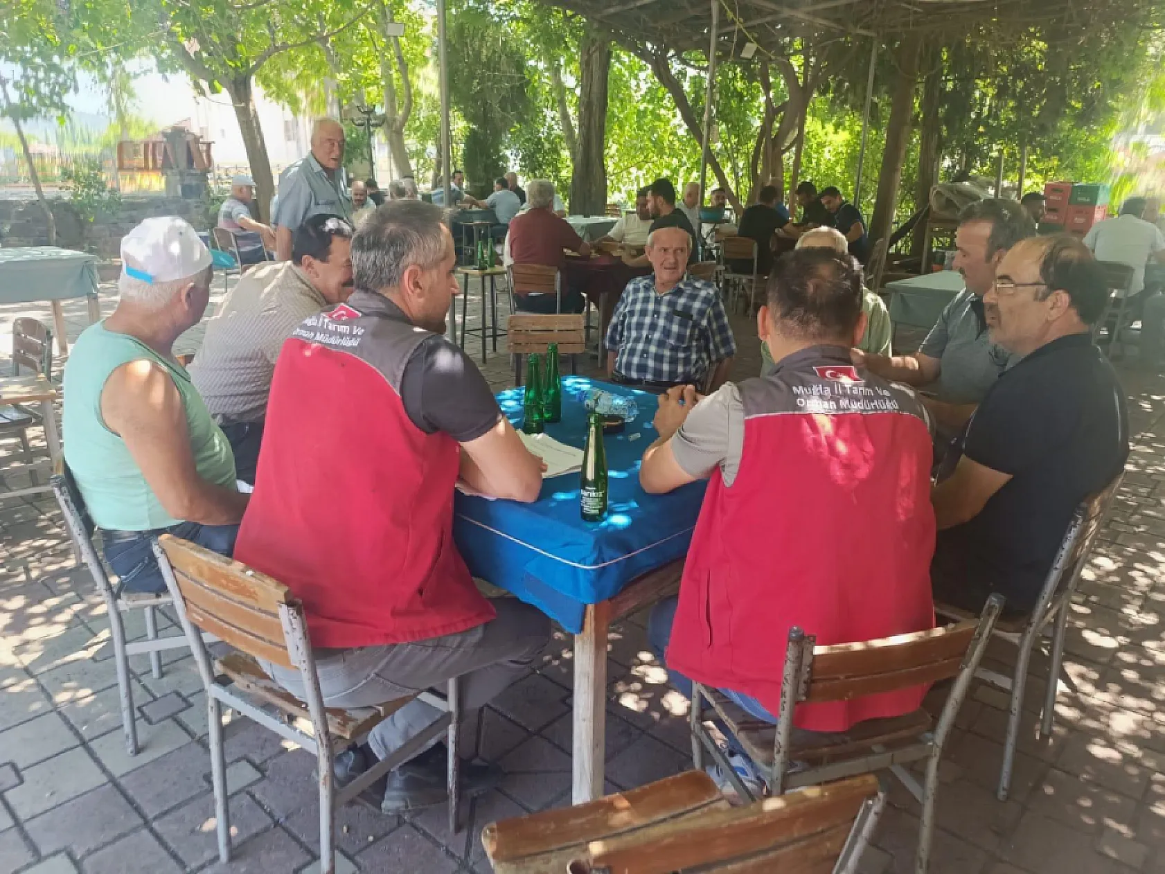 Muğla'da Genel Tarım Sayımı Hazırlıkları Sürüyor, Cuma Buluşmaları Devam Ediyor