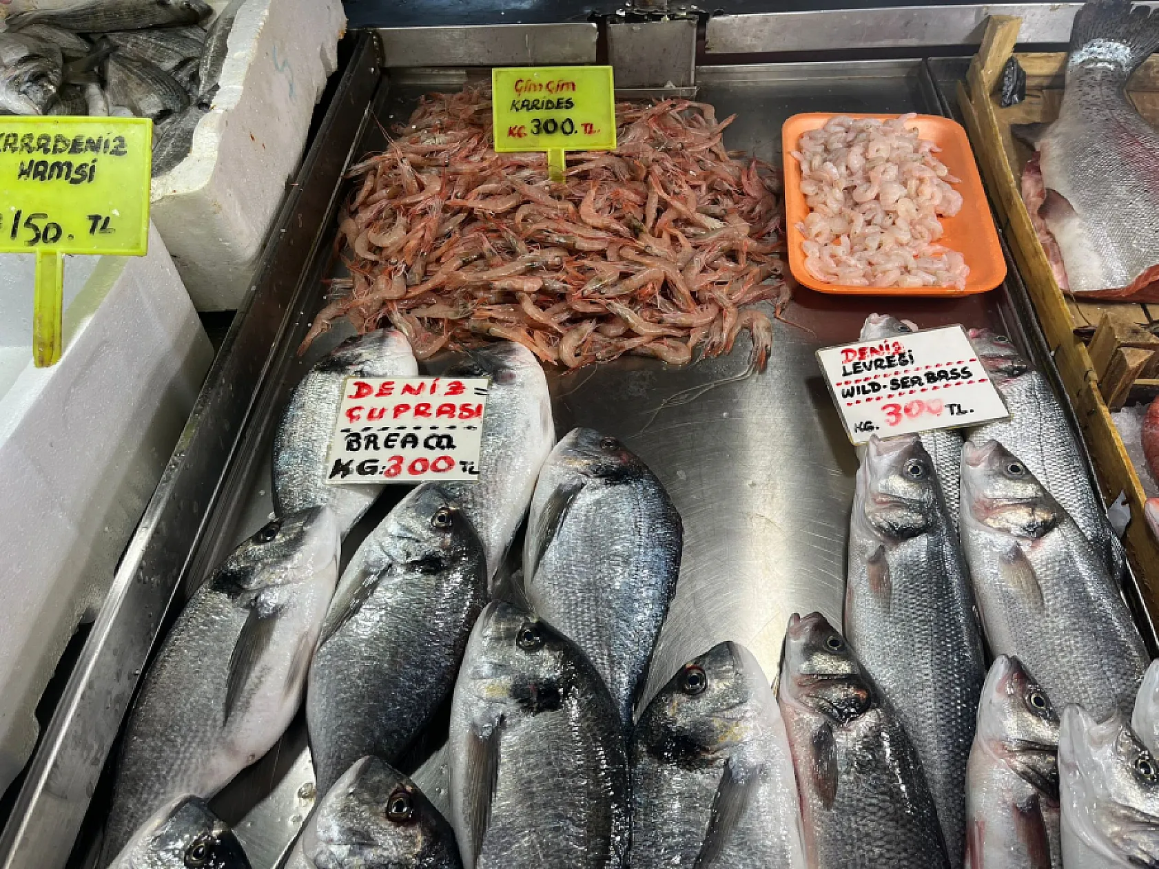 Balık fiyatları ucuzladı ama satış yok