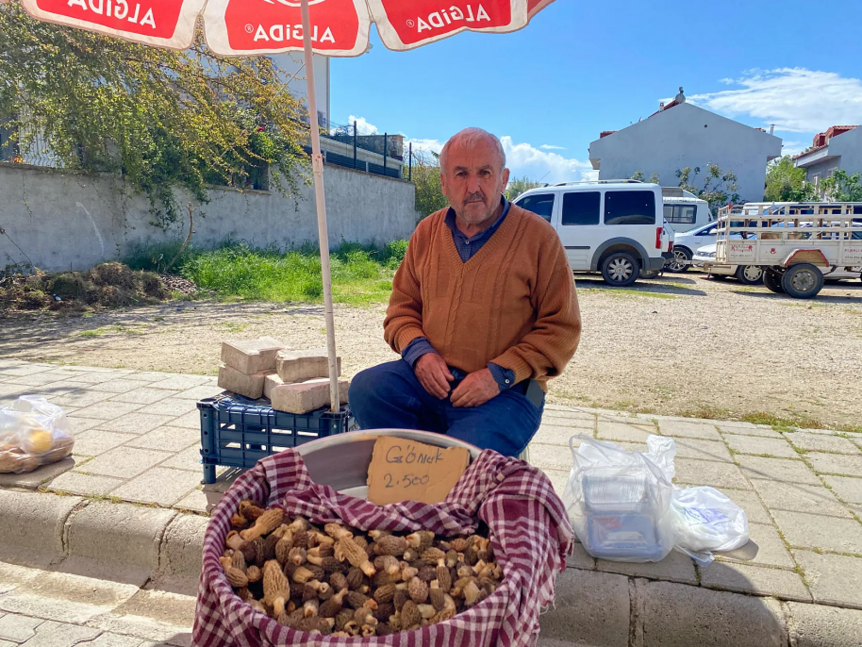 Fethiye'de Kuzugöbeği Mantarı altınla yarışıyor Kilosu 2500 TL
