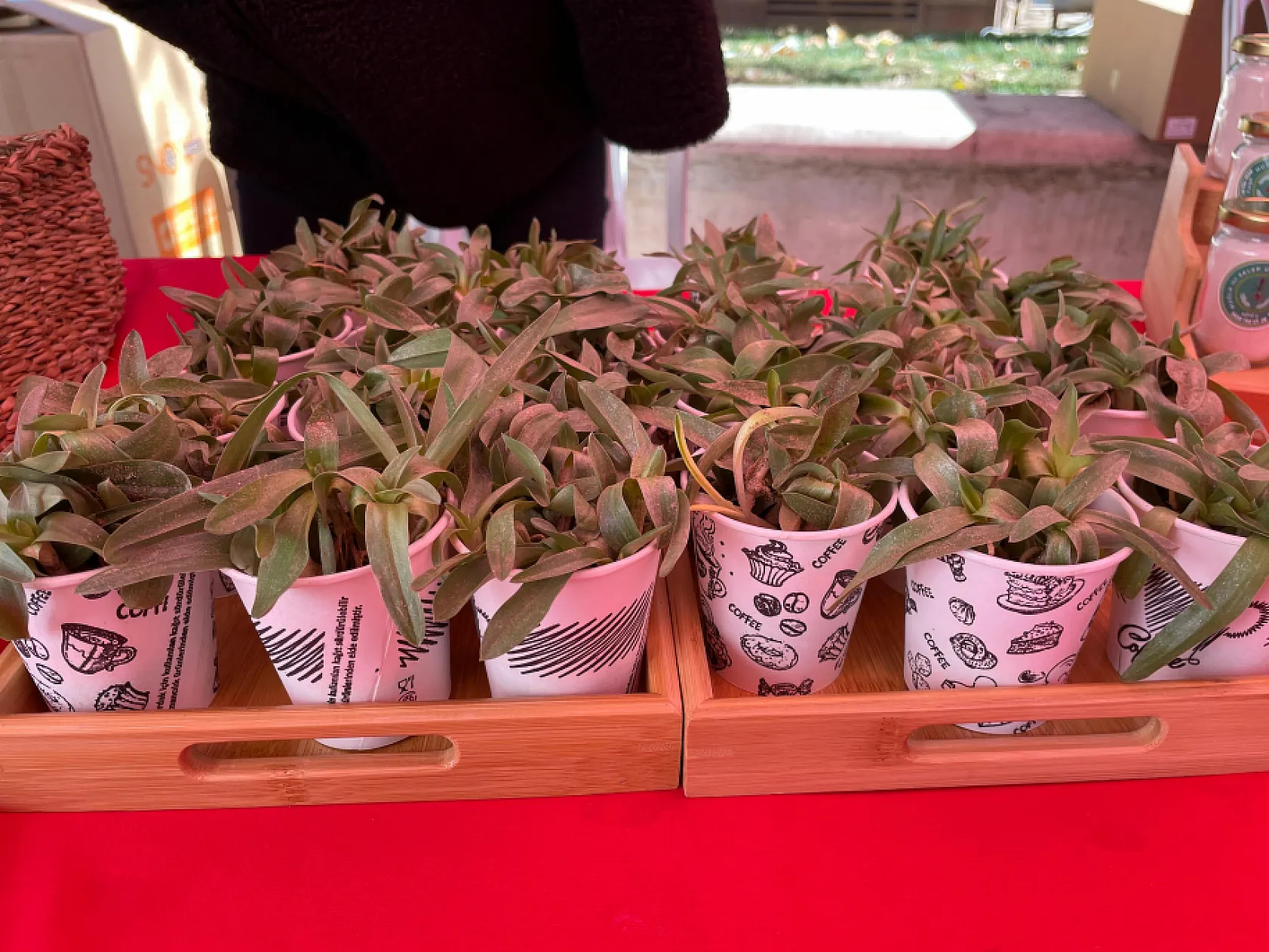 Muğla'da bilinçli tüketici ve üretici birarada: Slow Food Yeryüzü Pazarı