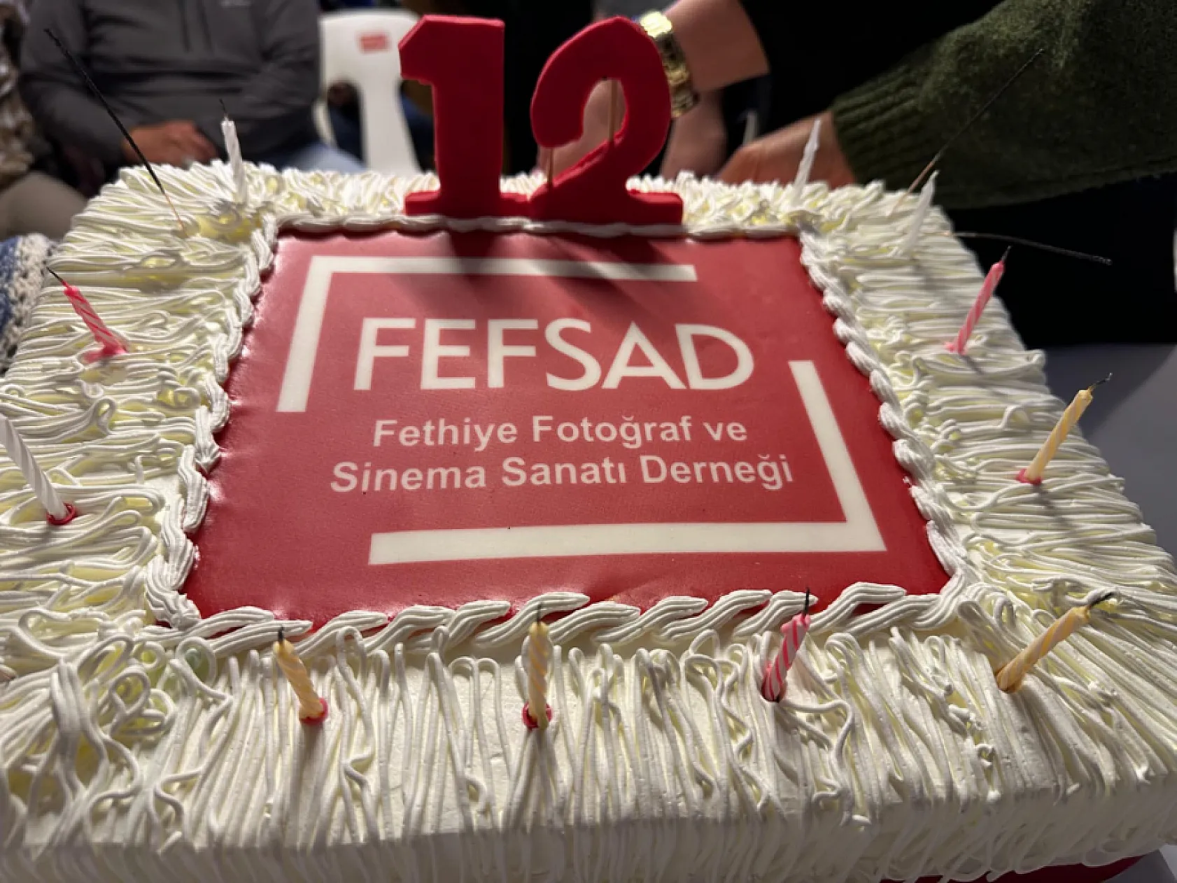 FEFSAD 12. yaşını 'İyi ki Varız' temasıyla kutladı