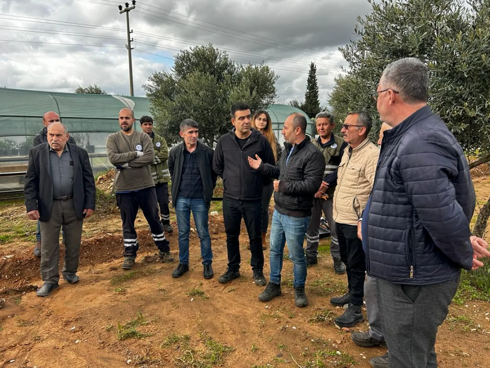 Üreticilere 'Zeytin Budama' eğitimi verildi