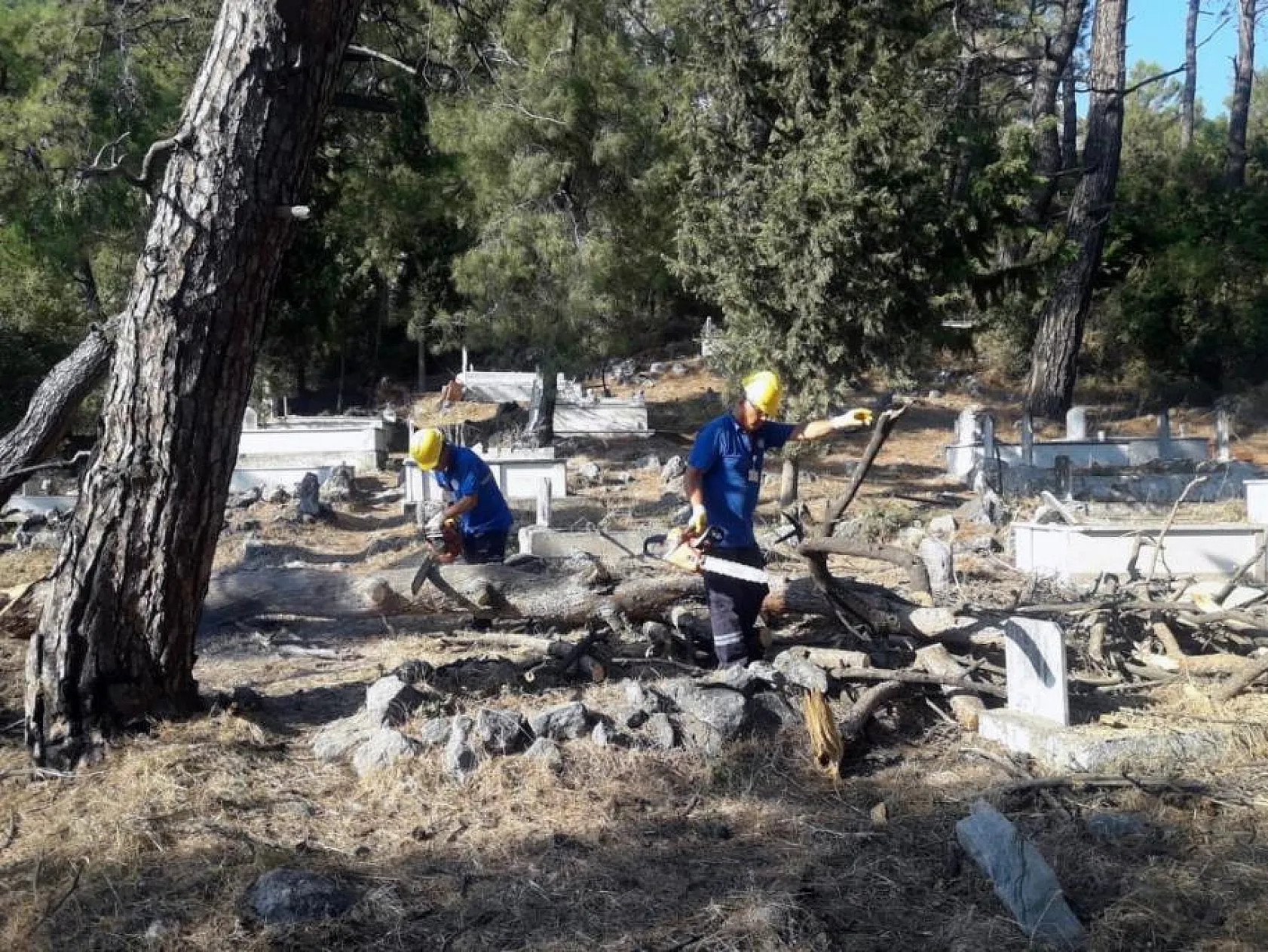 Belediye'den kara kış yardımları devam ediyor