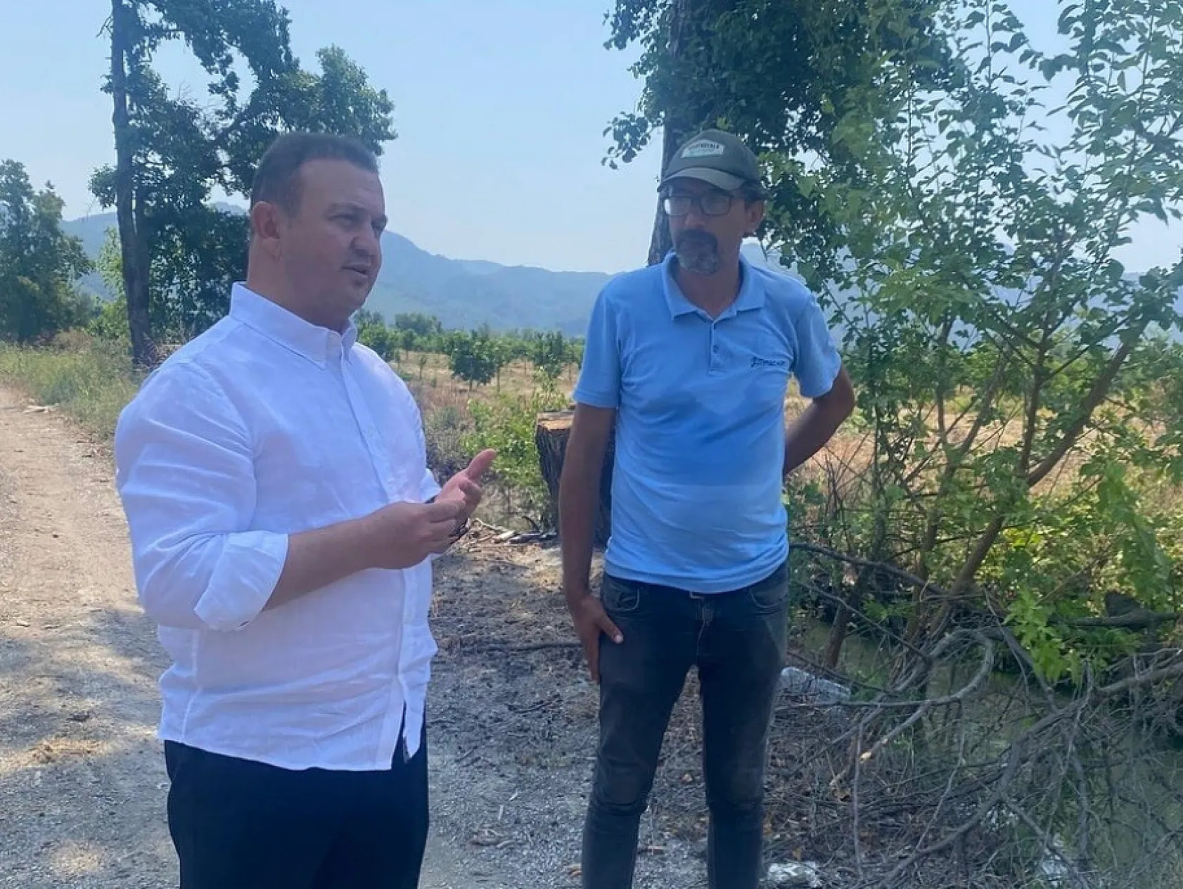 Muğla'da Narenciye Bahçelerinde Saha İncelemesi