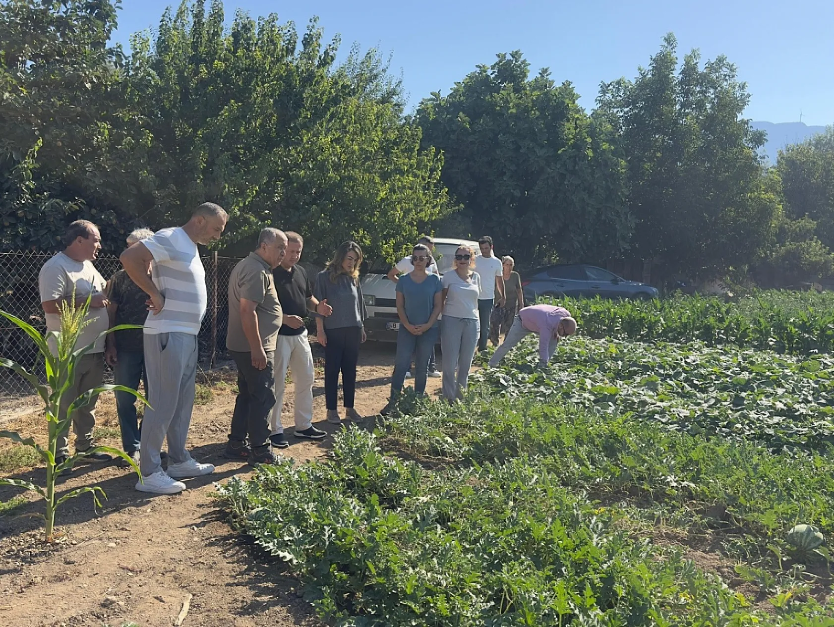 Karabağlar Yaylası'nda tarımsal projeler yerinde incelendi