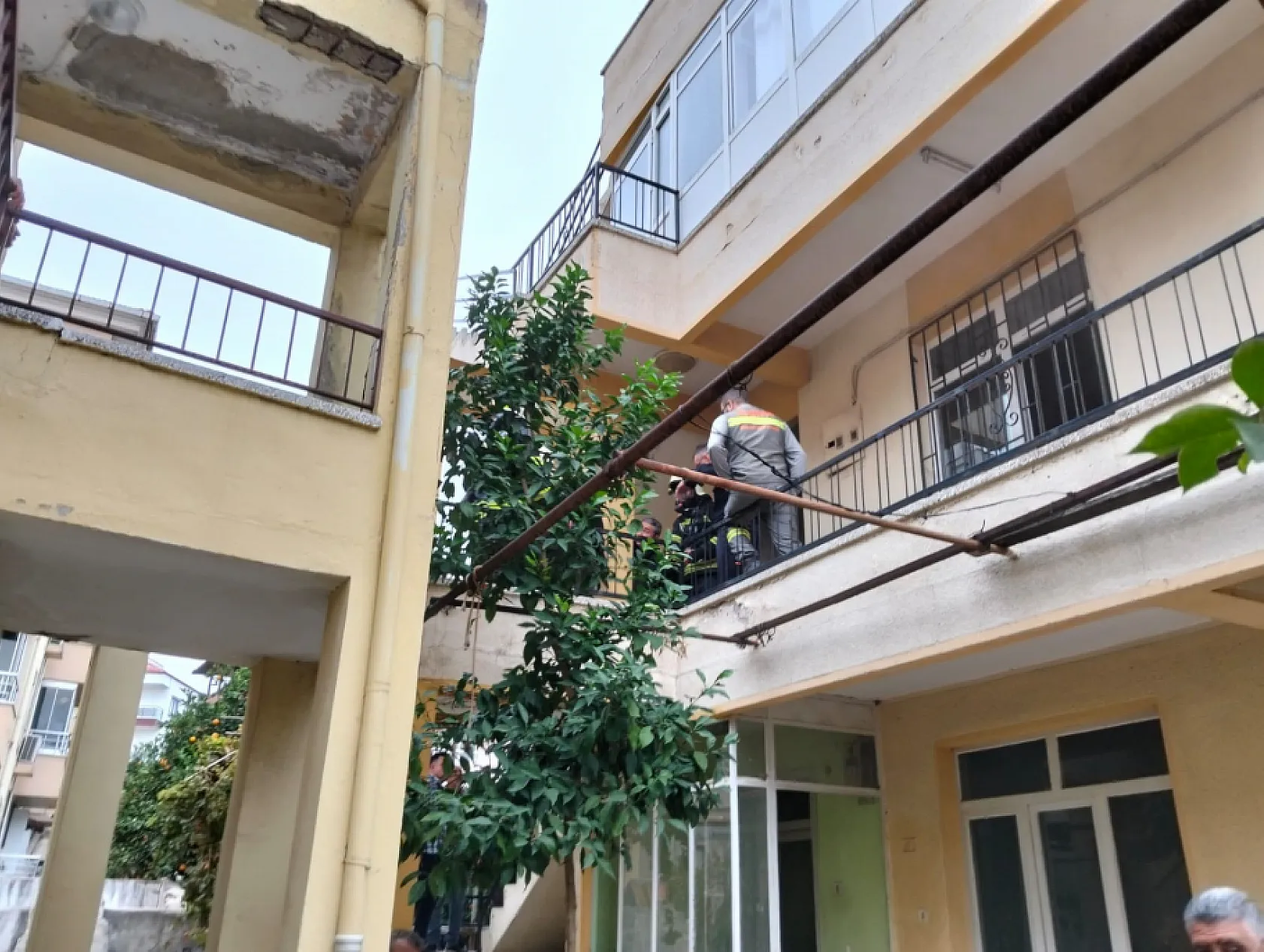 Milas'ta ocakta unutulan yemekten çıkan yangında 2 kedi telef oldu