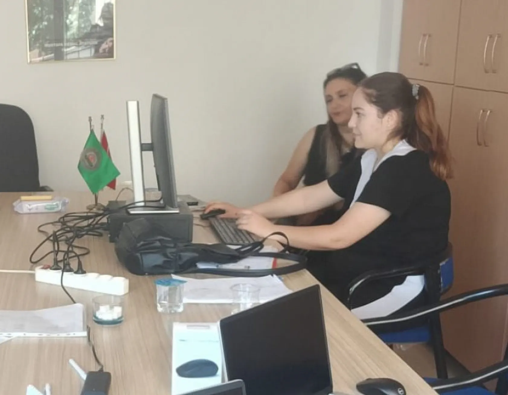 Ortaca'da tarım sayımları devam ediyor