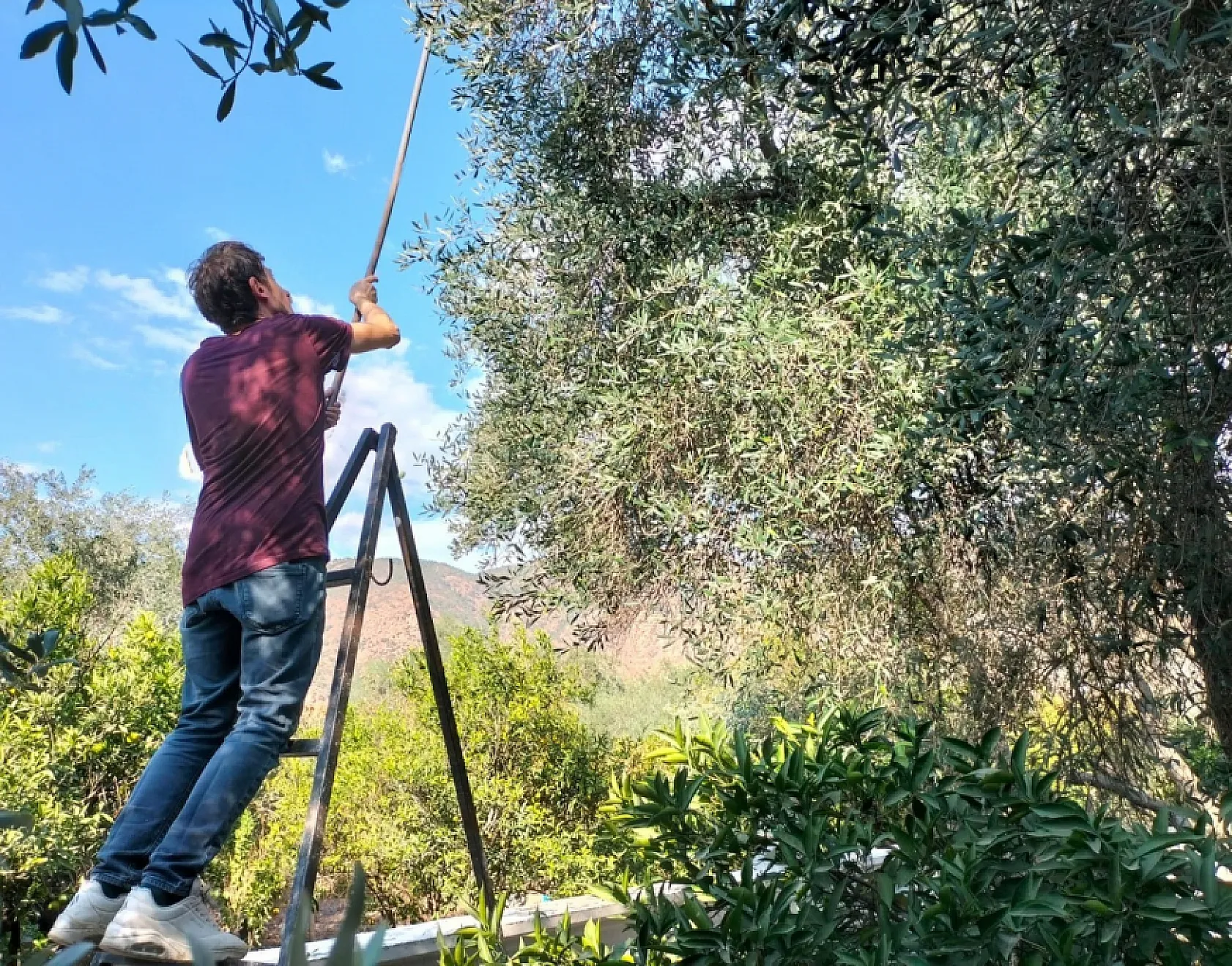 Muğla, Kasım ayında Ege'nin ihracat artış rekortmeni oldu
