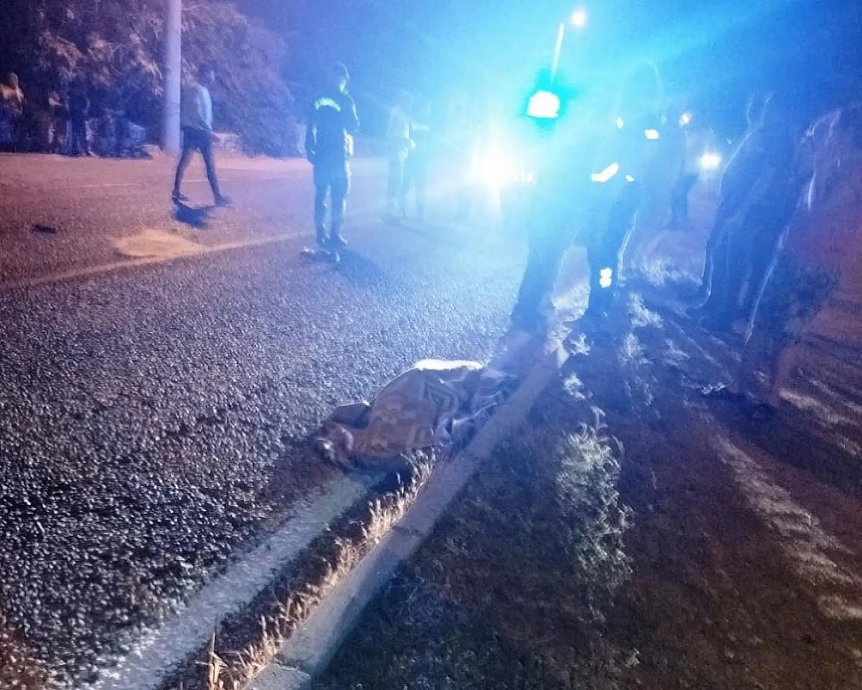 Muğla'da feci trafik kazası 1 kişi hayatını kaybetti