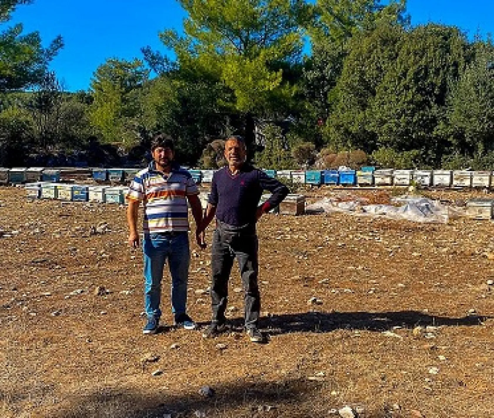 Muğla'da kovan tespit çalışmaları sürüyor